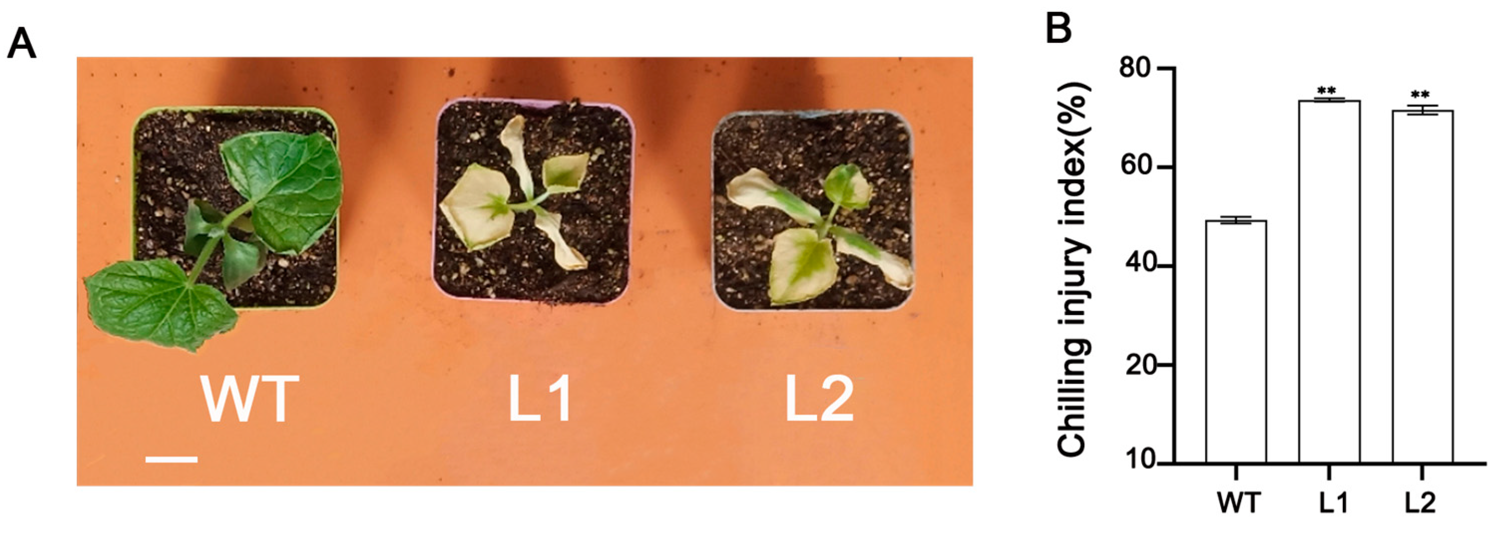 Horticulturae 09 00240 g002 Horticulturae 09 00240 g002