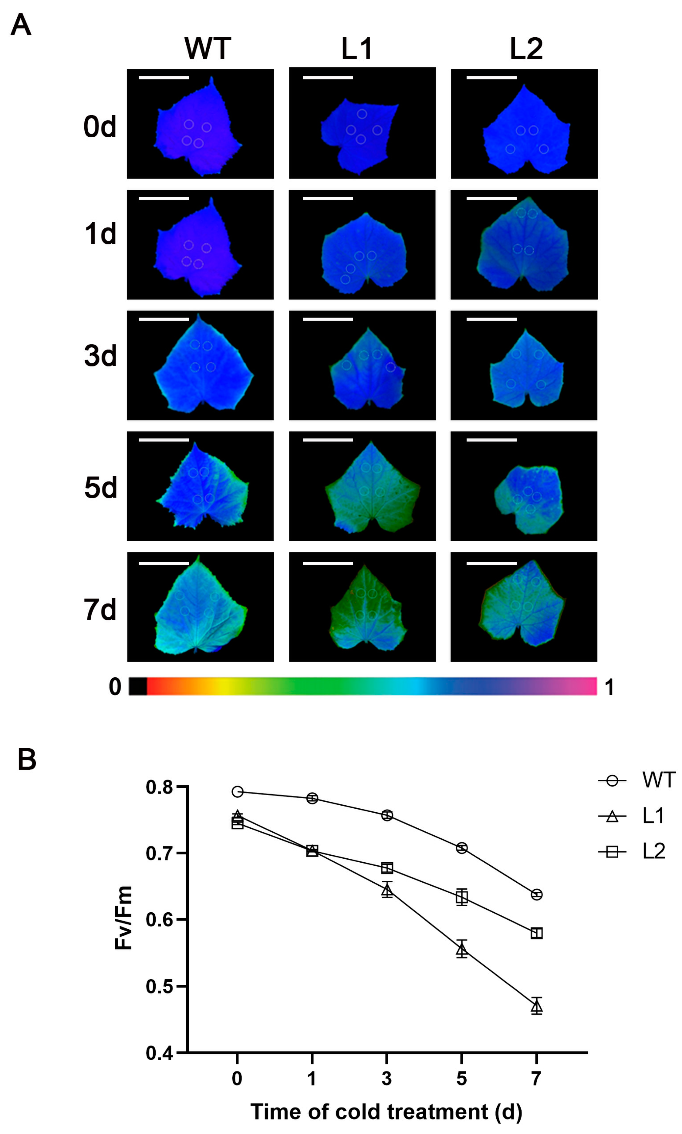 Horticulturae 09 00240 g003 Horticulturae 09 00240 g003