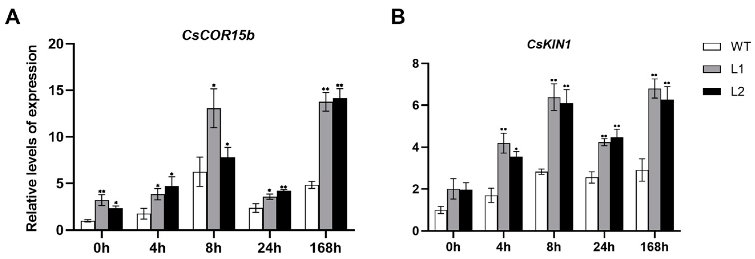 Horticulturae 09 00240 g009 Horticulturae 09 00240 g009
