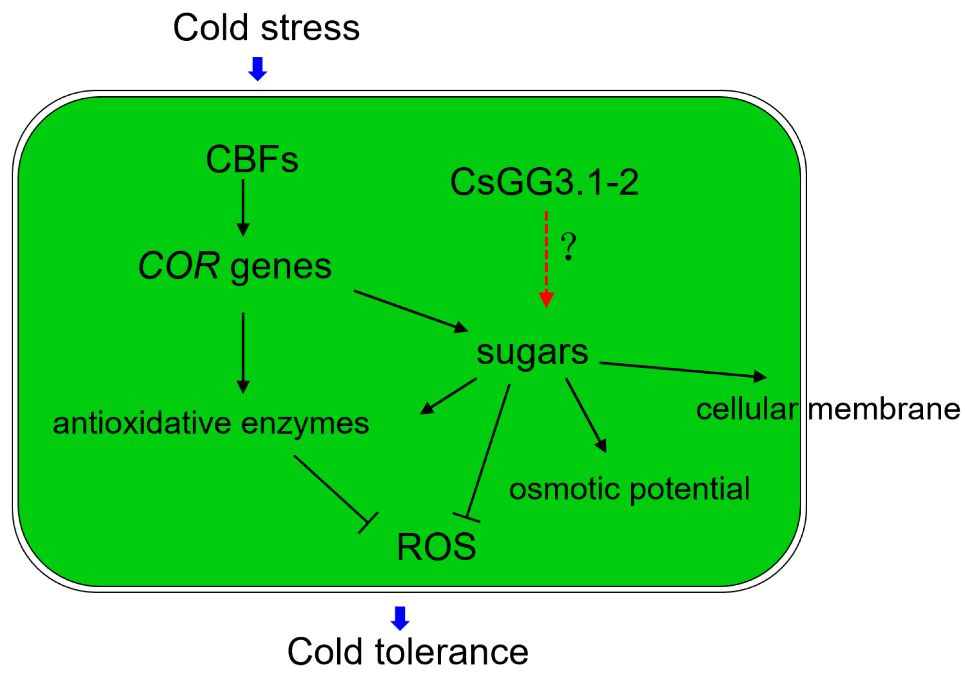 Horticulturae 09 00240 g010 Horticulturae 09 00240 g010