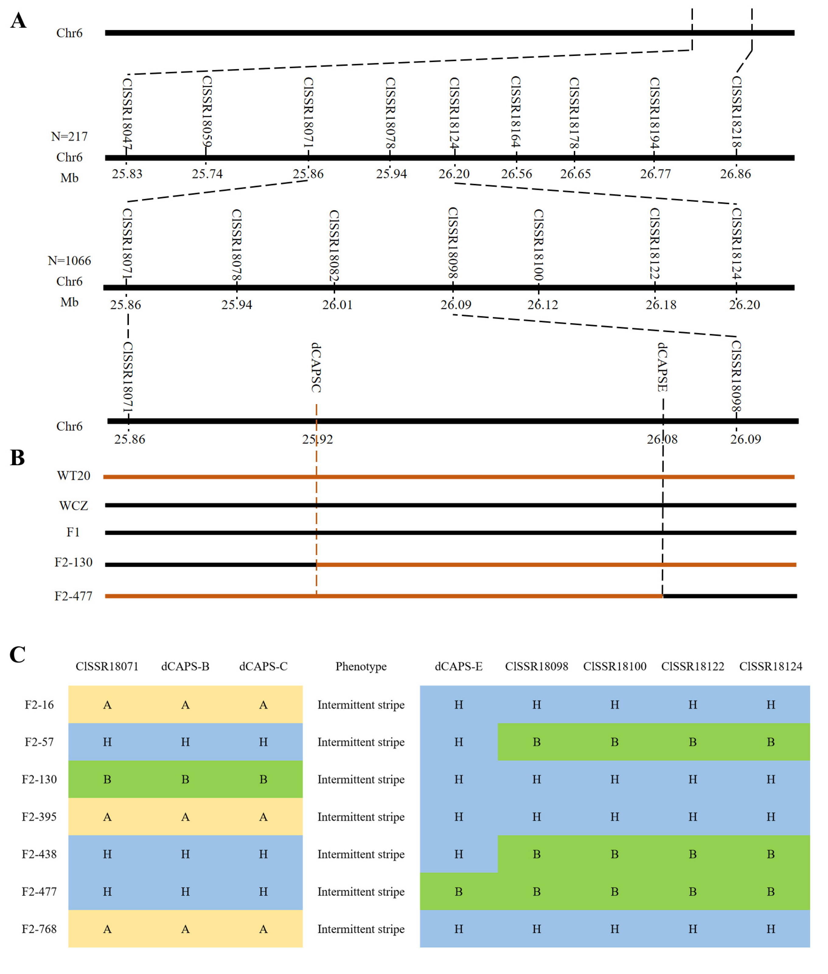 Horticulturae 09 00263 g002