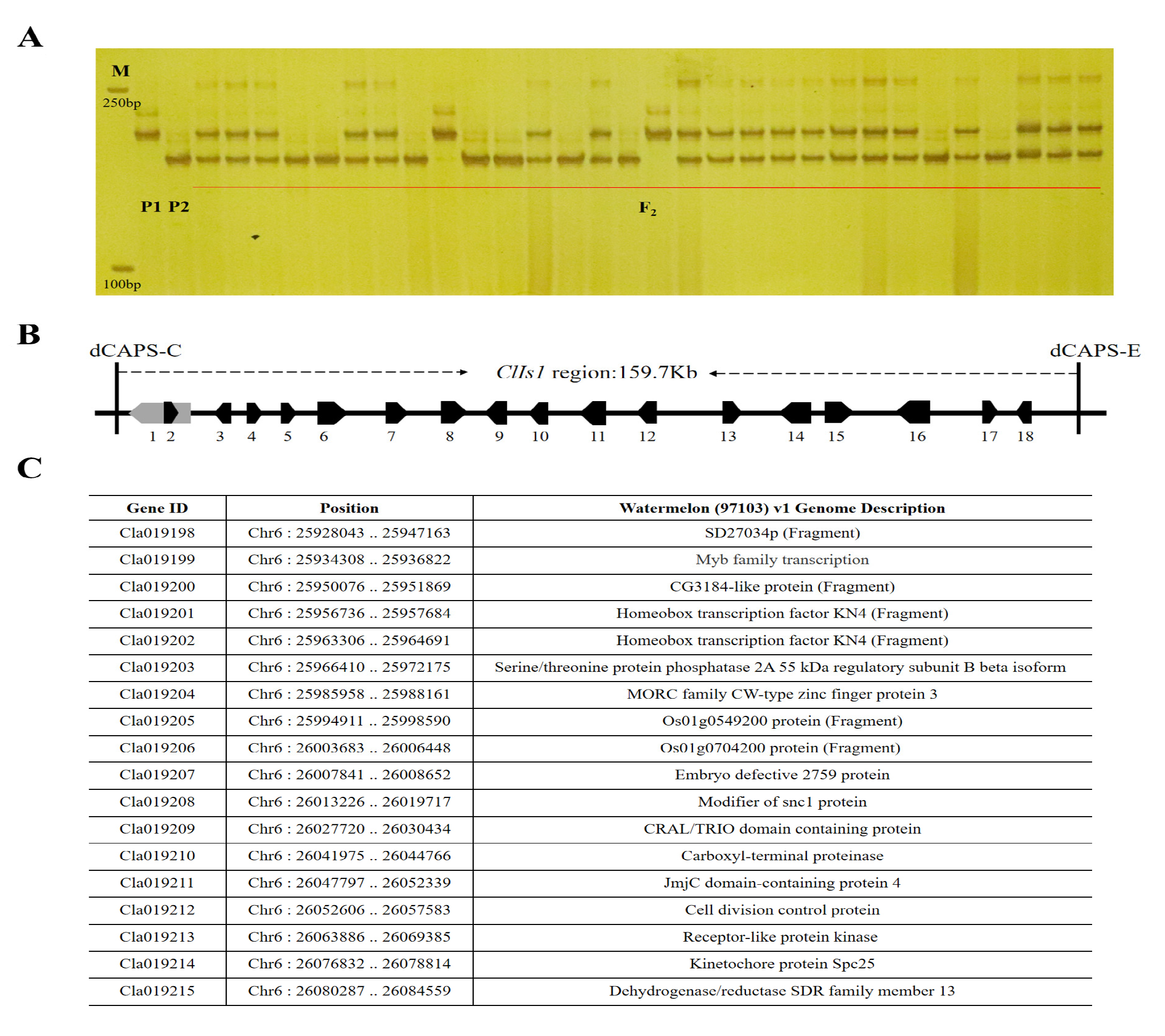Horticulturae 09 00263 g003