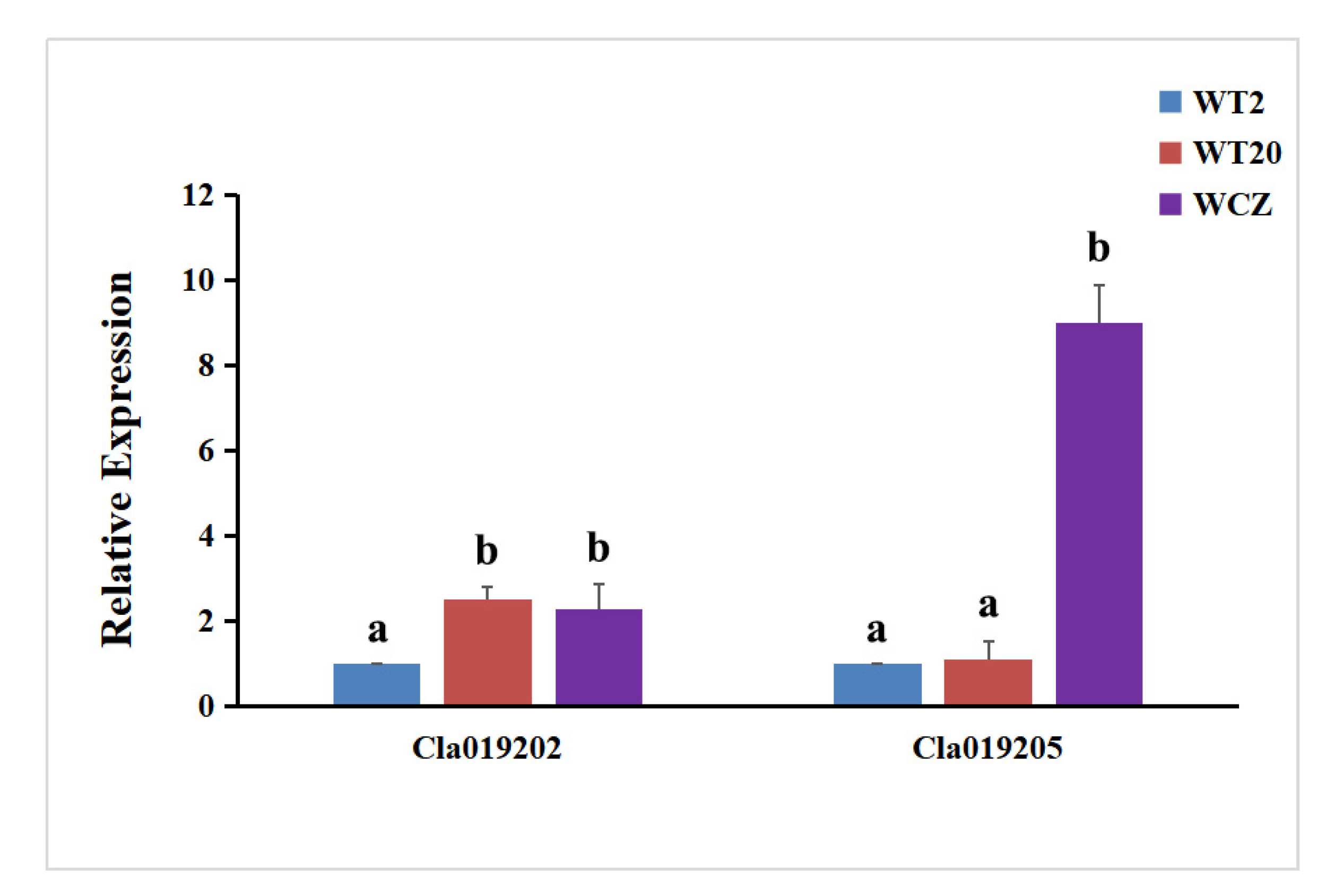 Horticulturae 09 00263 g005