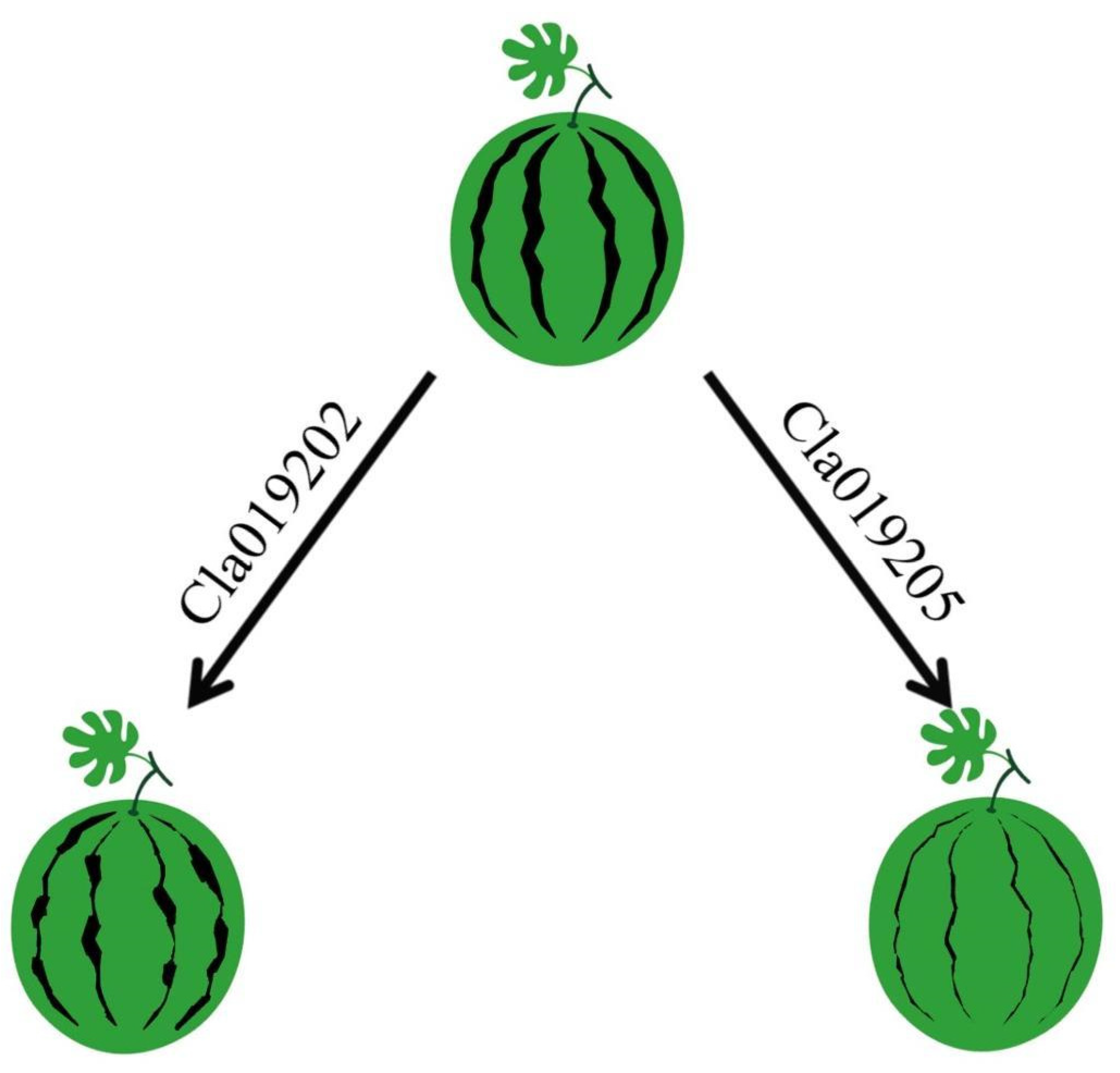 Horticulturae 09 00263 g006