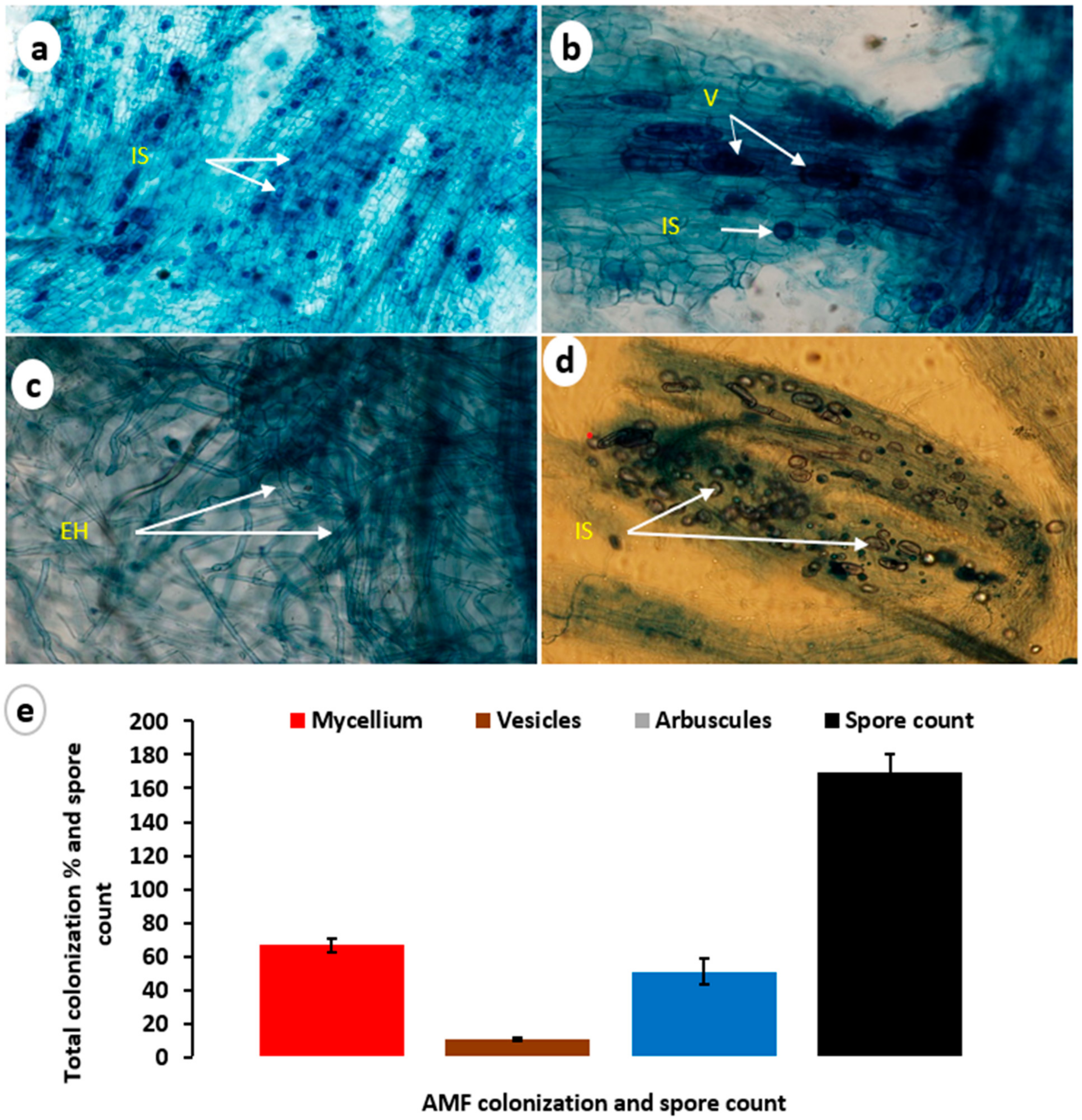 Horticulturae 09 00276 g002