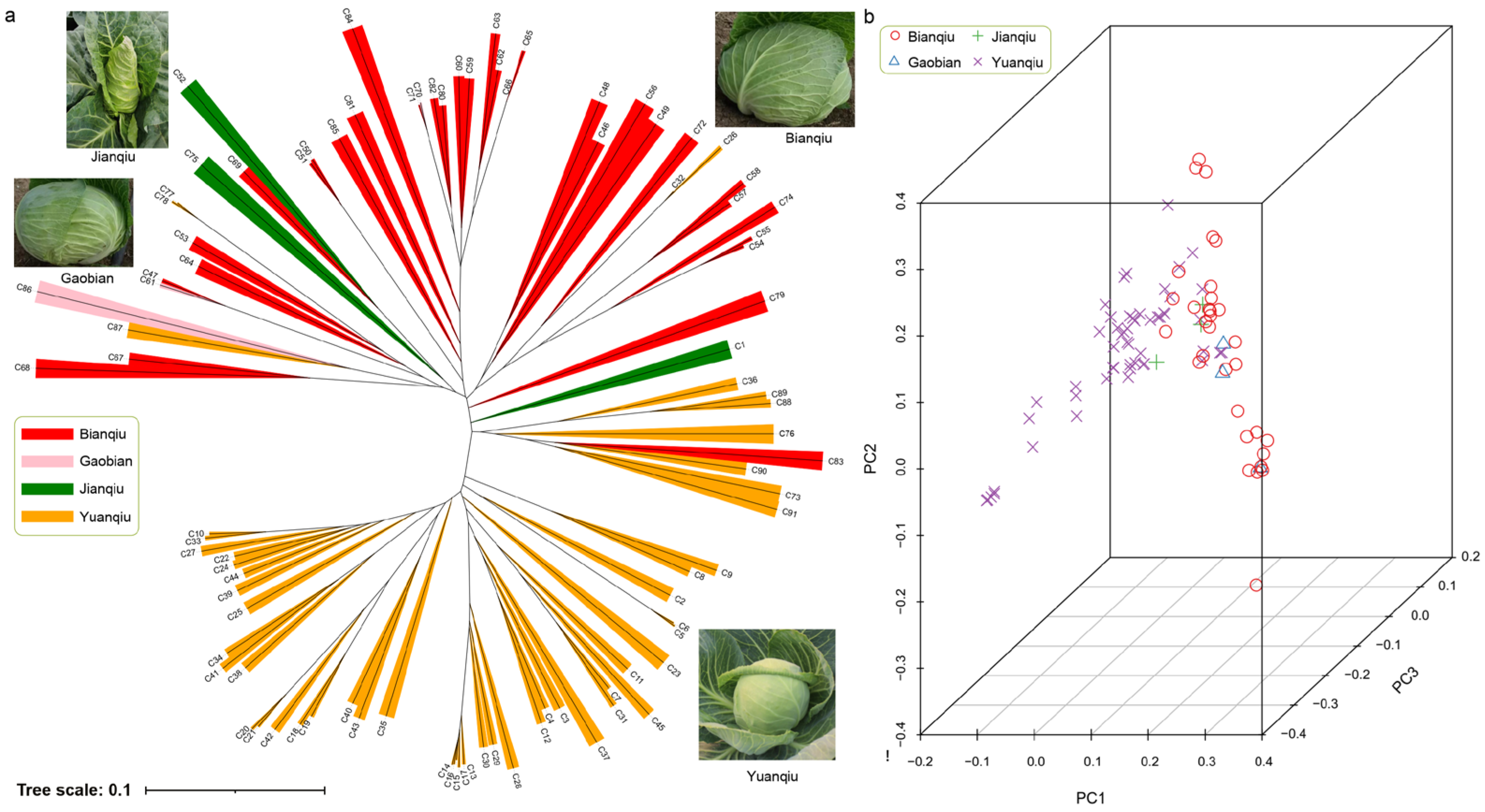 Horticulturae 09 00283 g001 Horticulturae 09 00283 g001