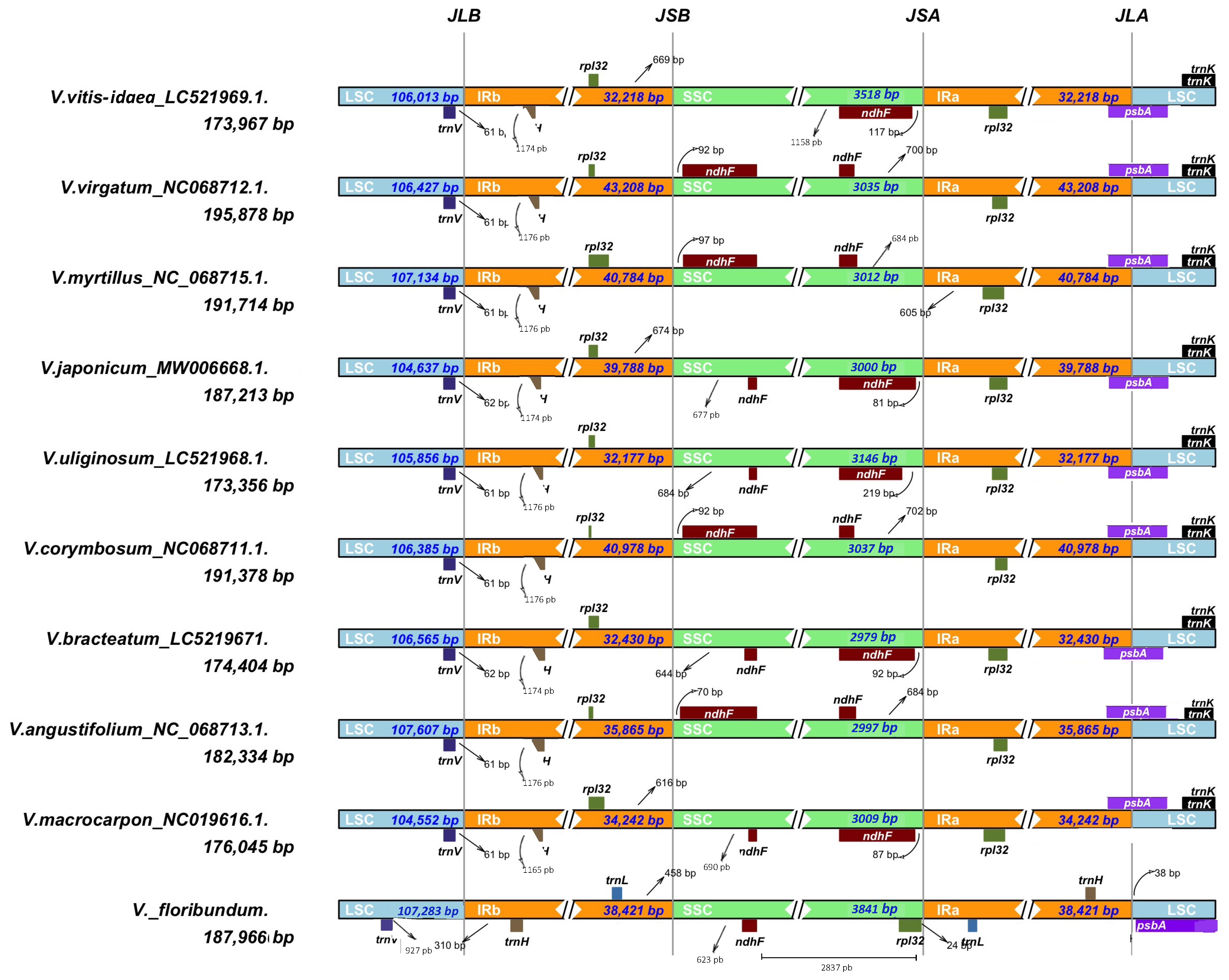 Horticulturae 09 00302 g006 Horticulturae 09 00302 g006