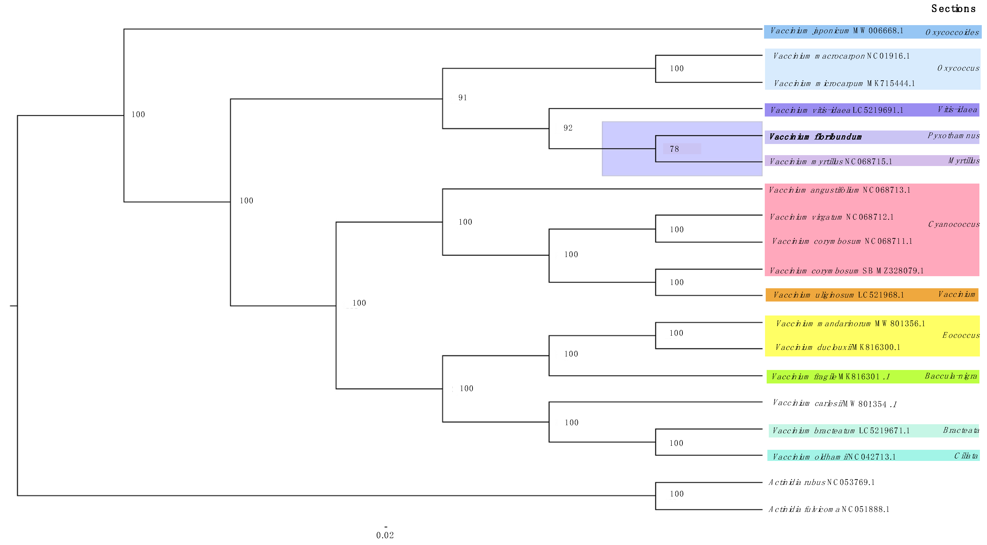 Horticulturae 09 00302 g007 Horticulturae 09 00302 g007