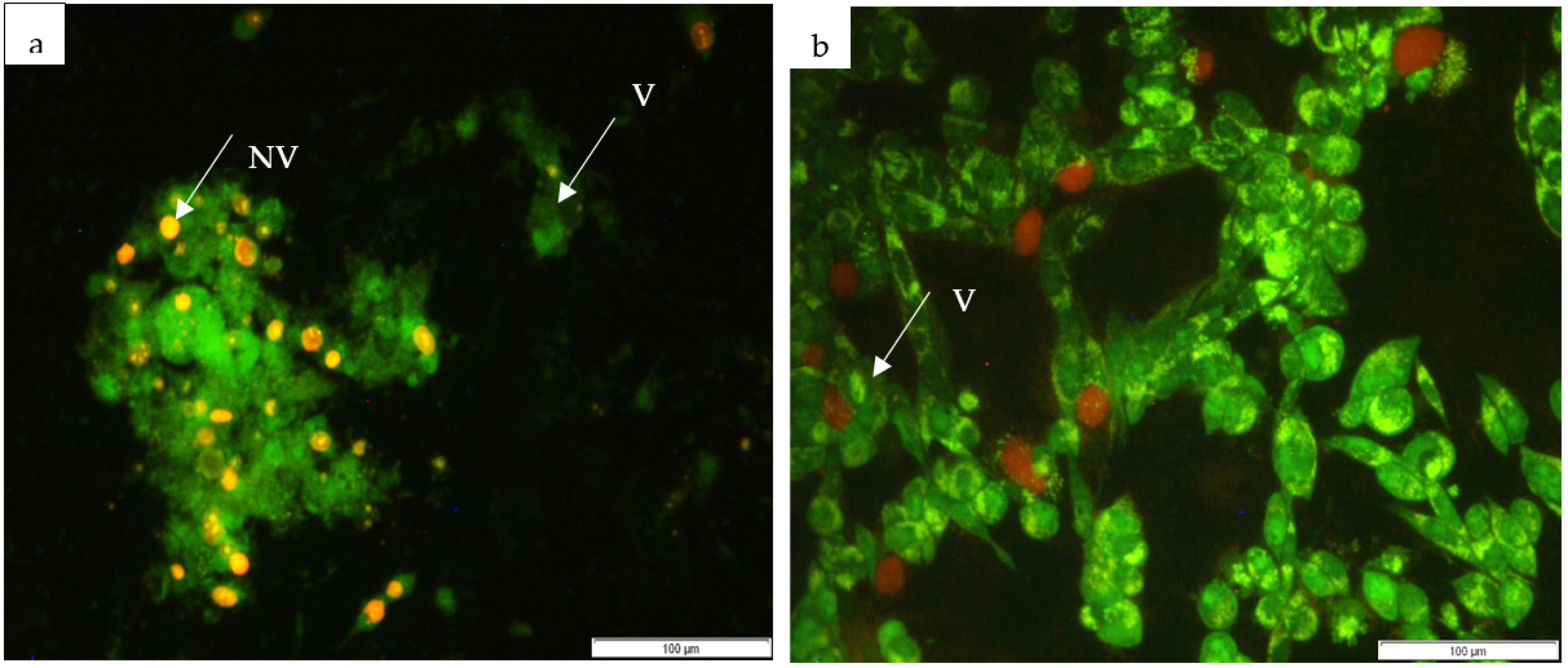 Horticulturae 09 00305 g004a Horticulturae 09 00305 g004a