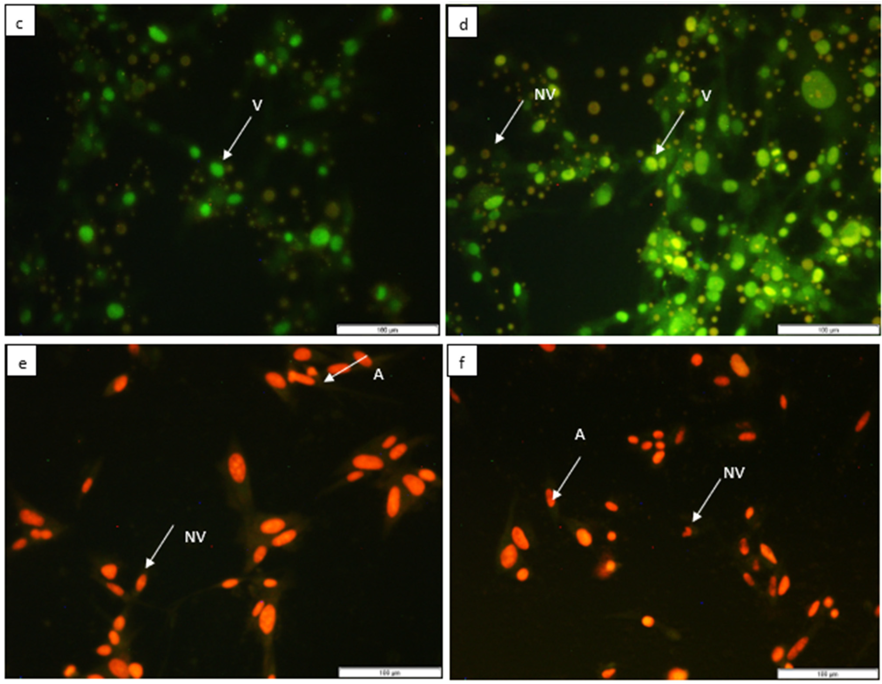 Horticulturae 09 00305 g004b Horticulturae 09 00305 g004b