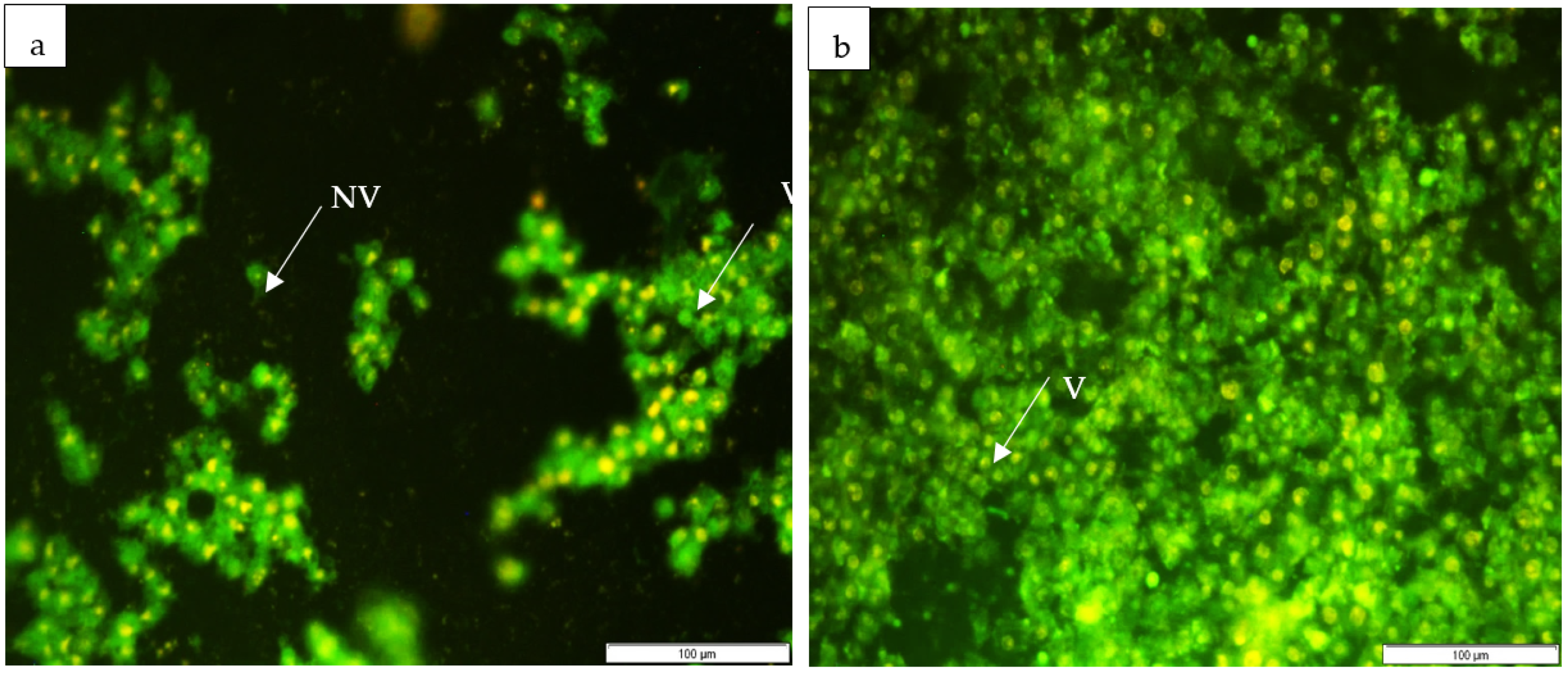 Horticulturae 09 00305 g006a Horticulturae 09 00305 g006a