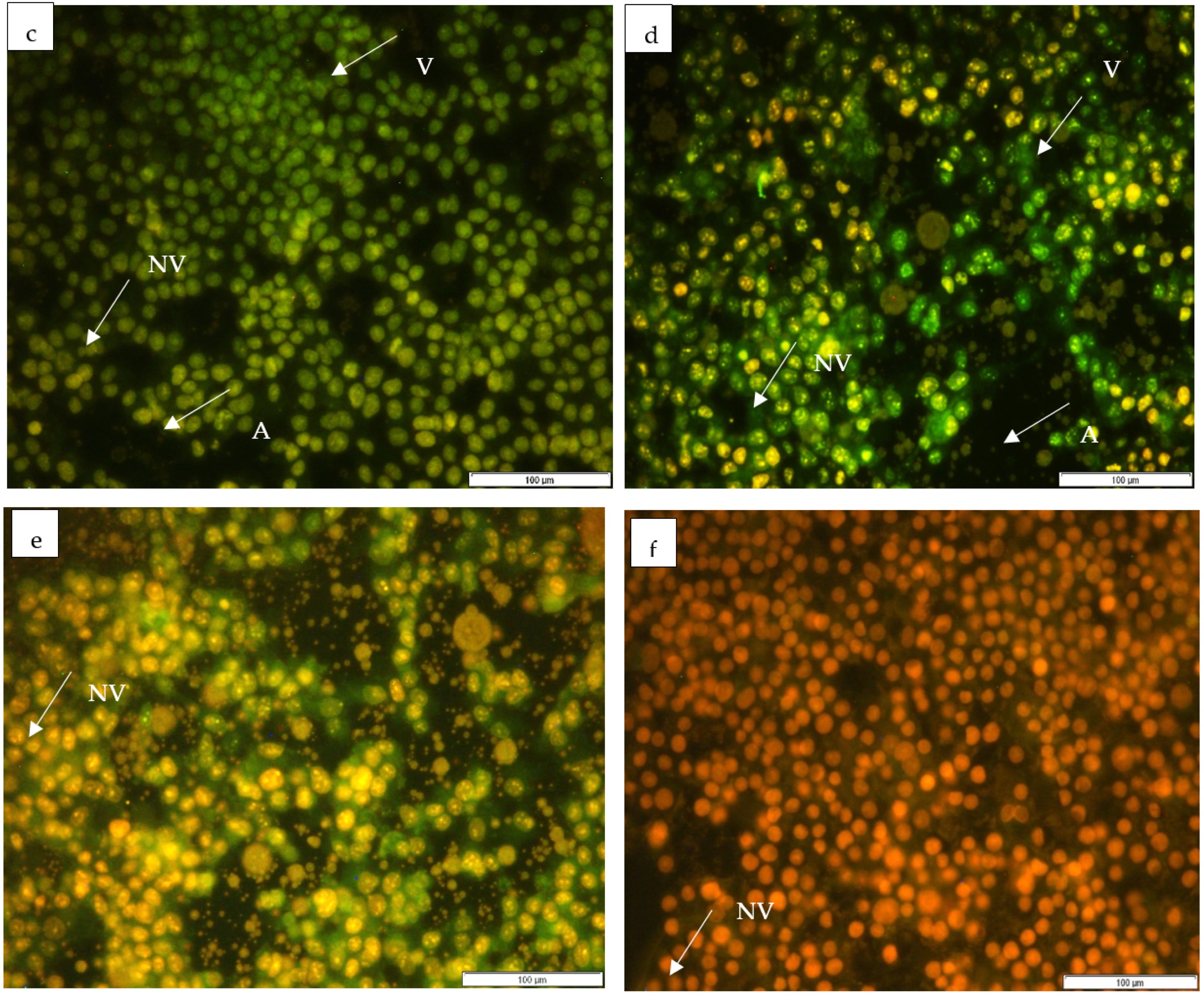 Horticulturae 09 00305 g006b Horticulturae 09 00305 g006b