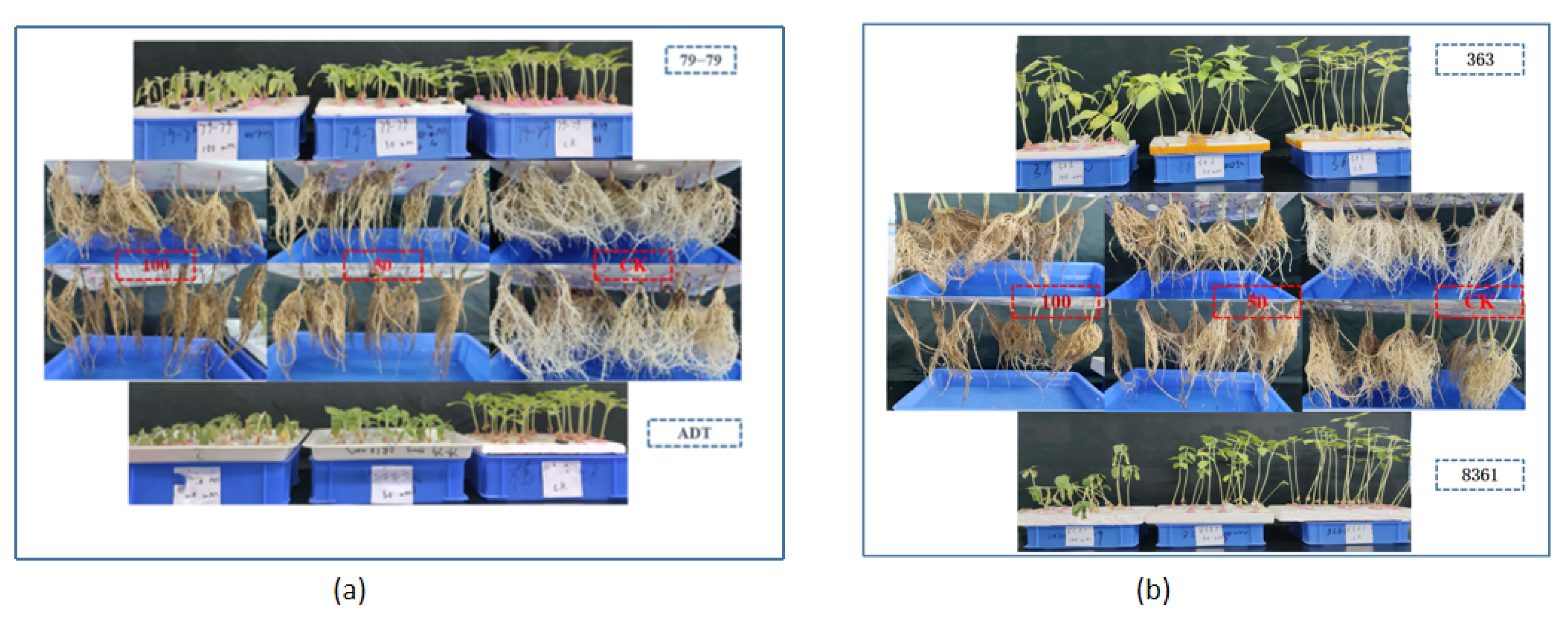 Horticulturae 09 00320 g002