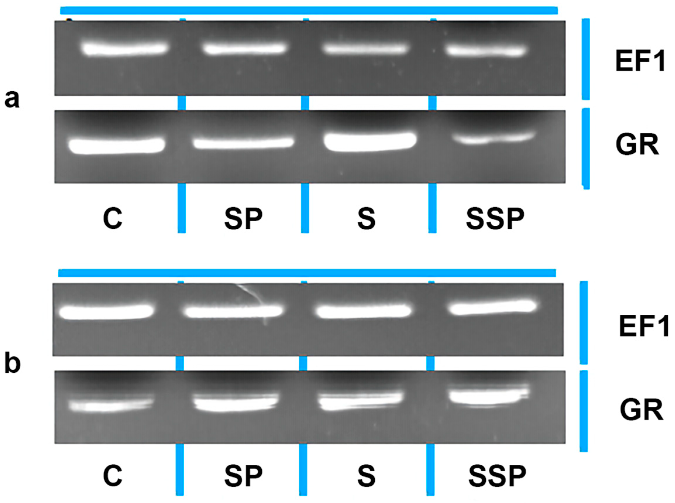 Horticulturae 09 00323 g012 Horticulturae 09 00323 g012