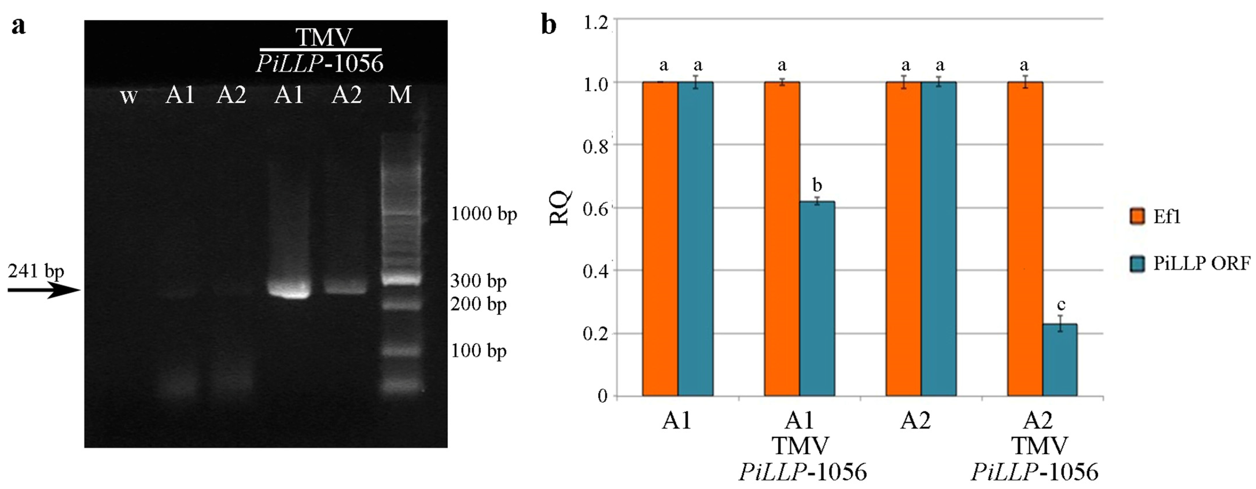 Horticulturae 09 00360 g006