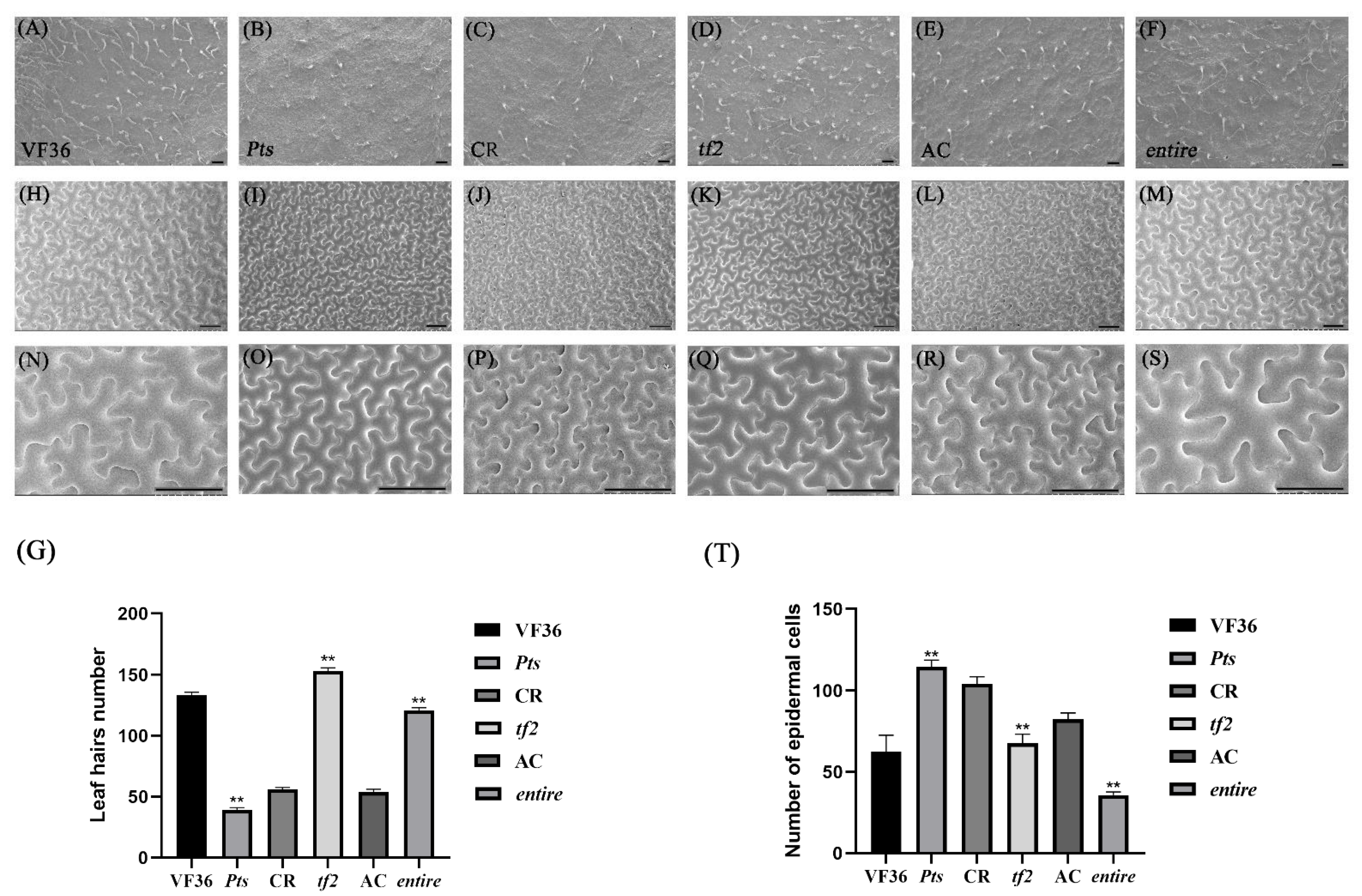Horticulturae 09 00363 g002