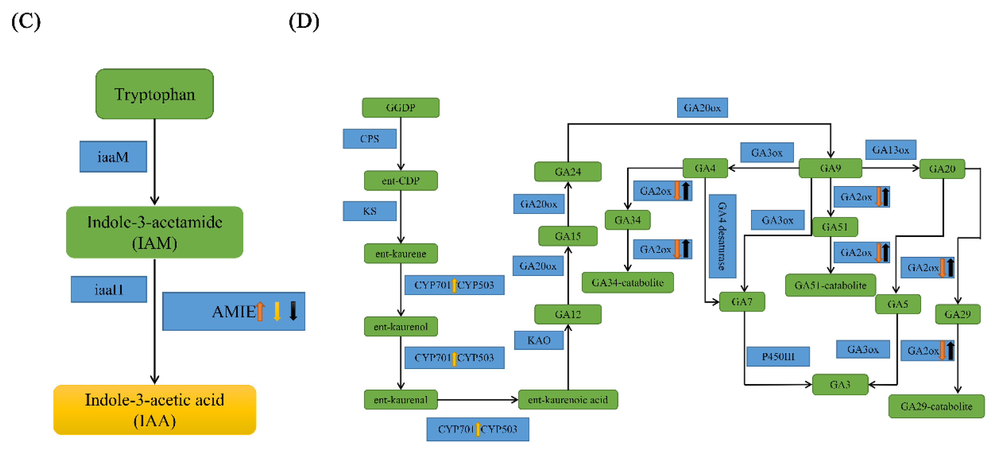 Horticulturae 09 00363 g005b
