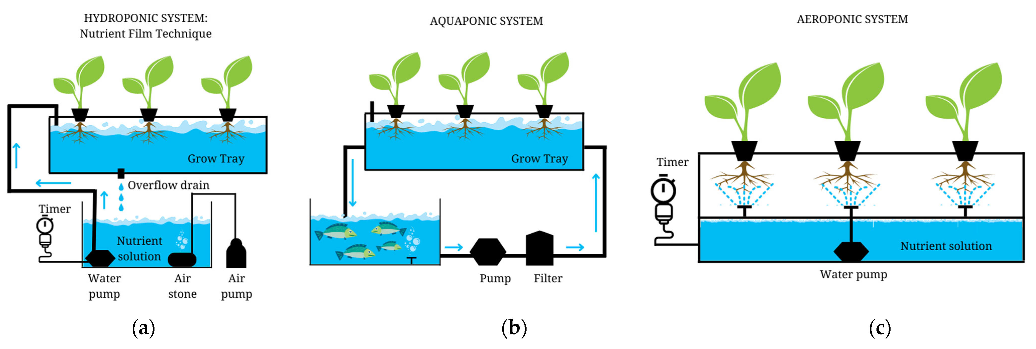 Horticulturae 09 00444 g005 Horticulturae 09 00444 g005