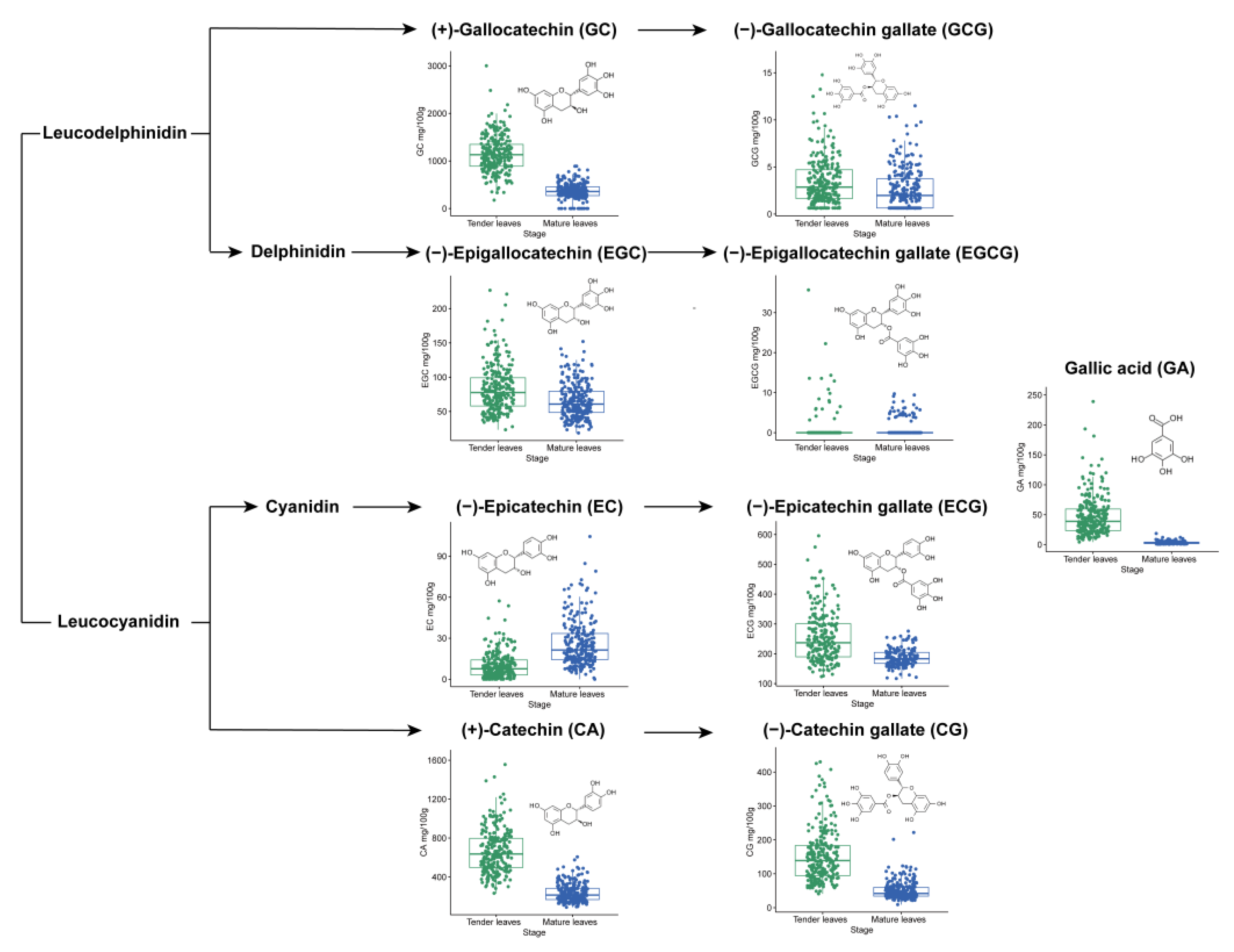 Horticulturae 09 00464 g001