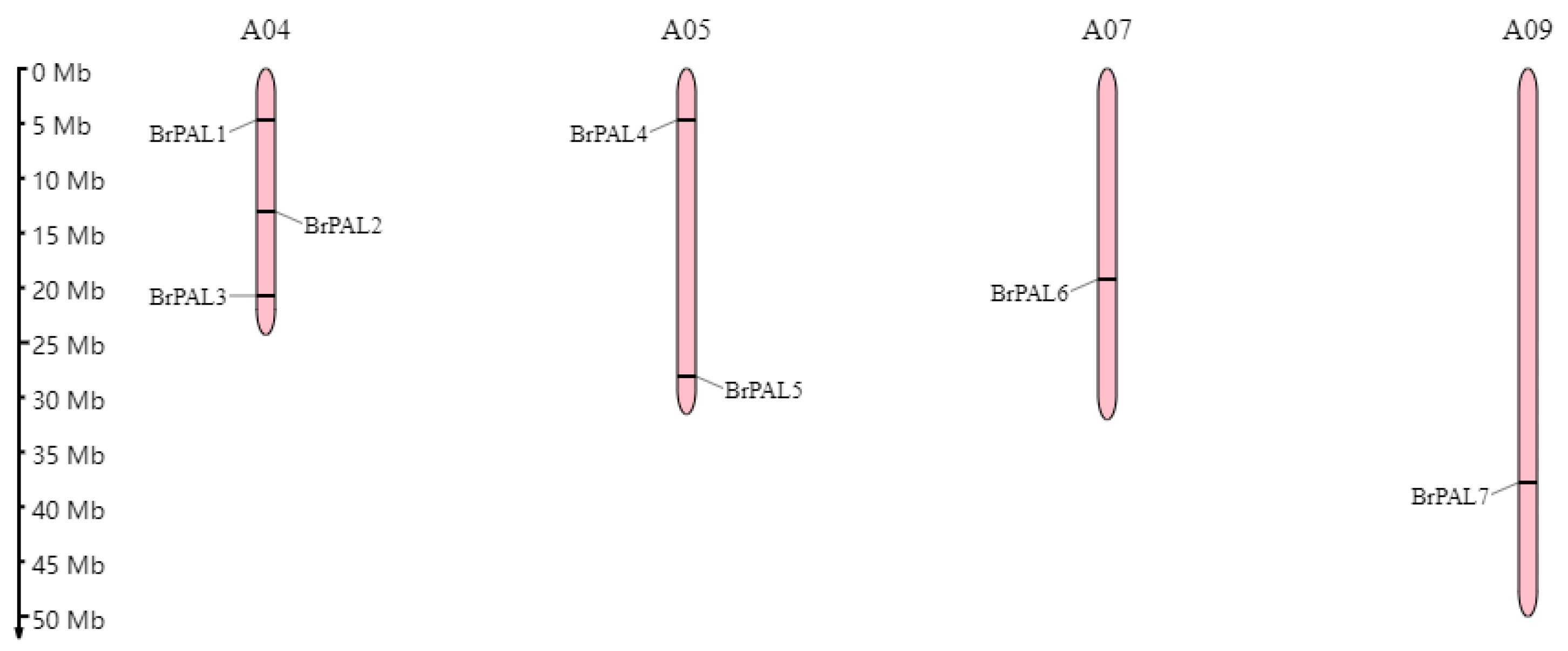 Horticulturae 09 00469 g001