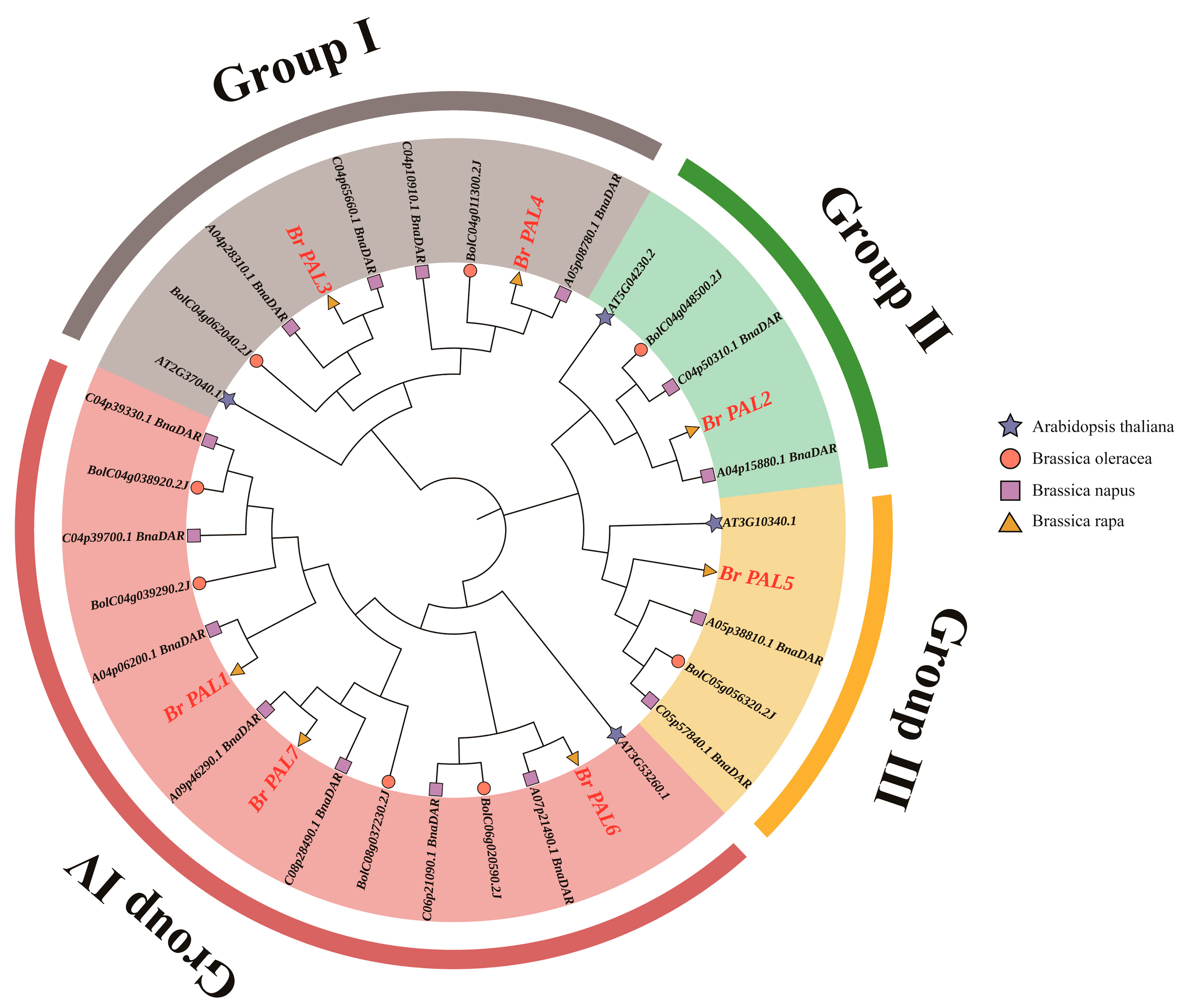 Horticulturae 09 00469 g002