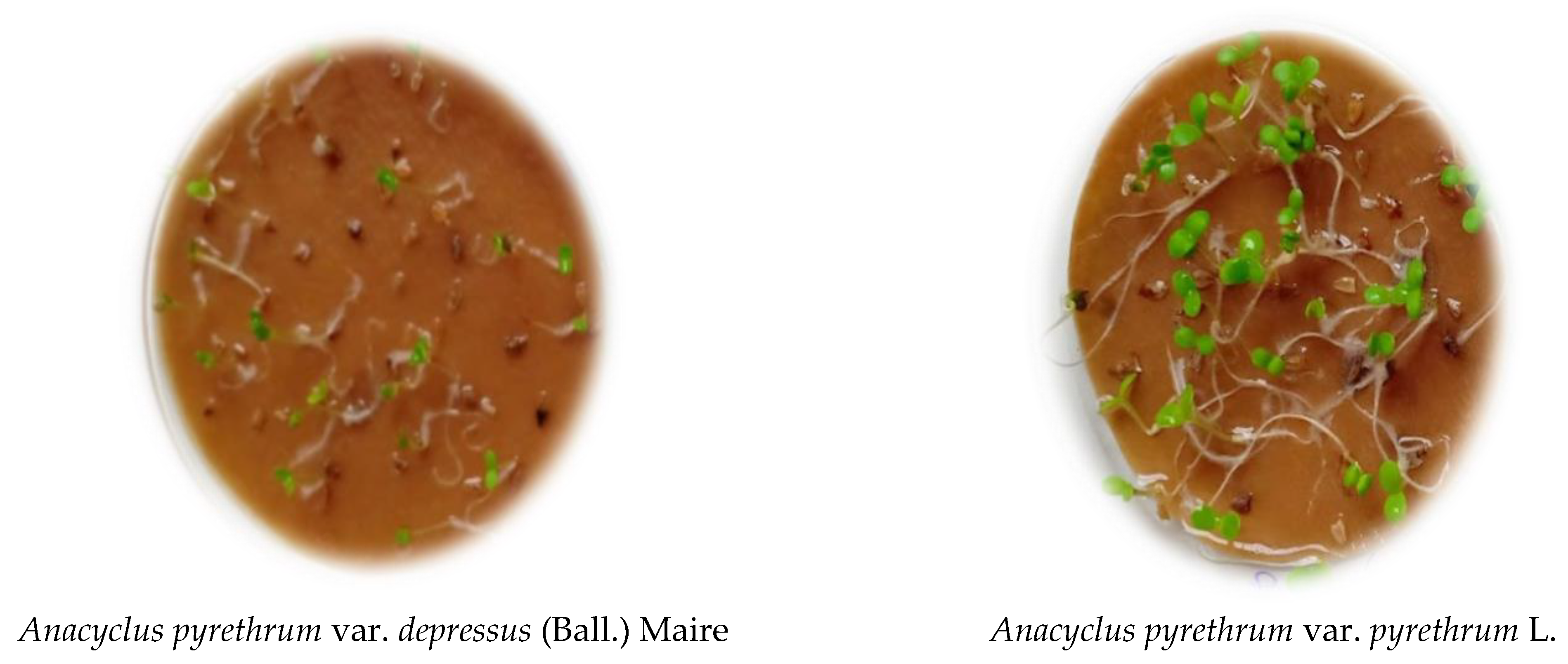 Horticulturae 09 00472 g001 Horticulturae 09 00472 g001