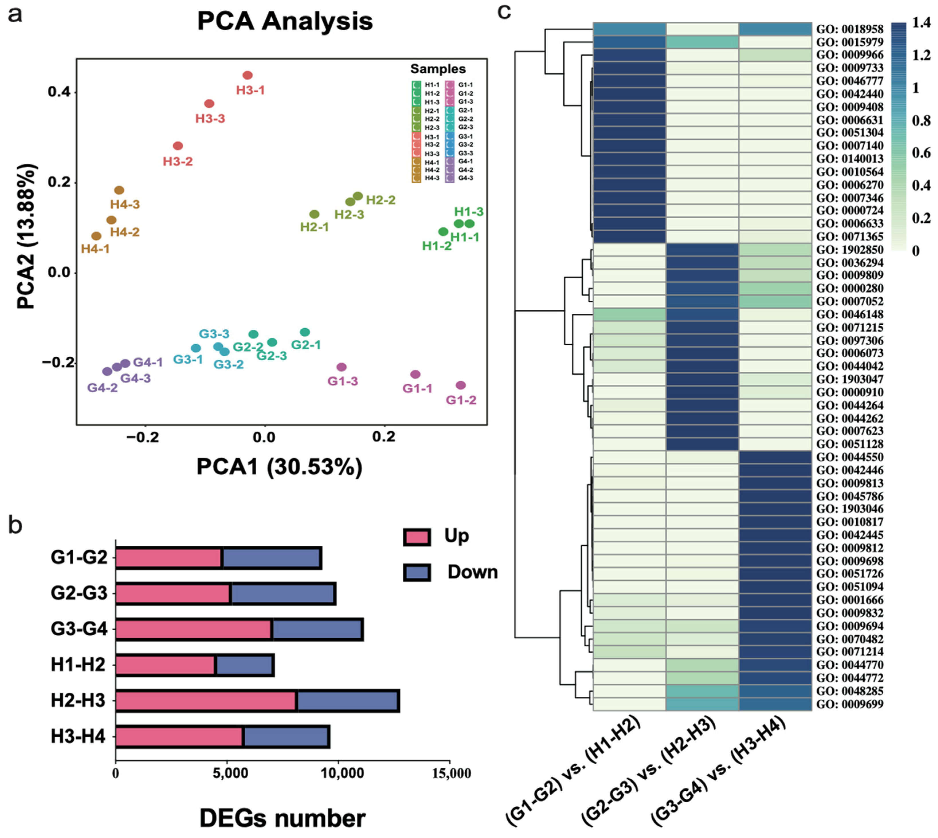 Horticulturae 09 00570 g002