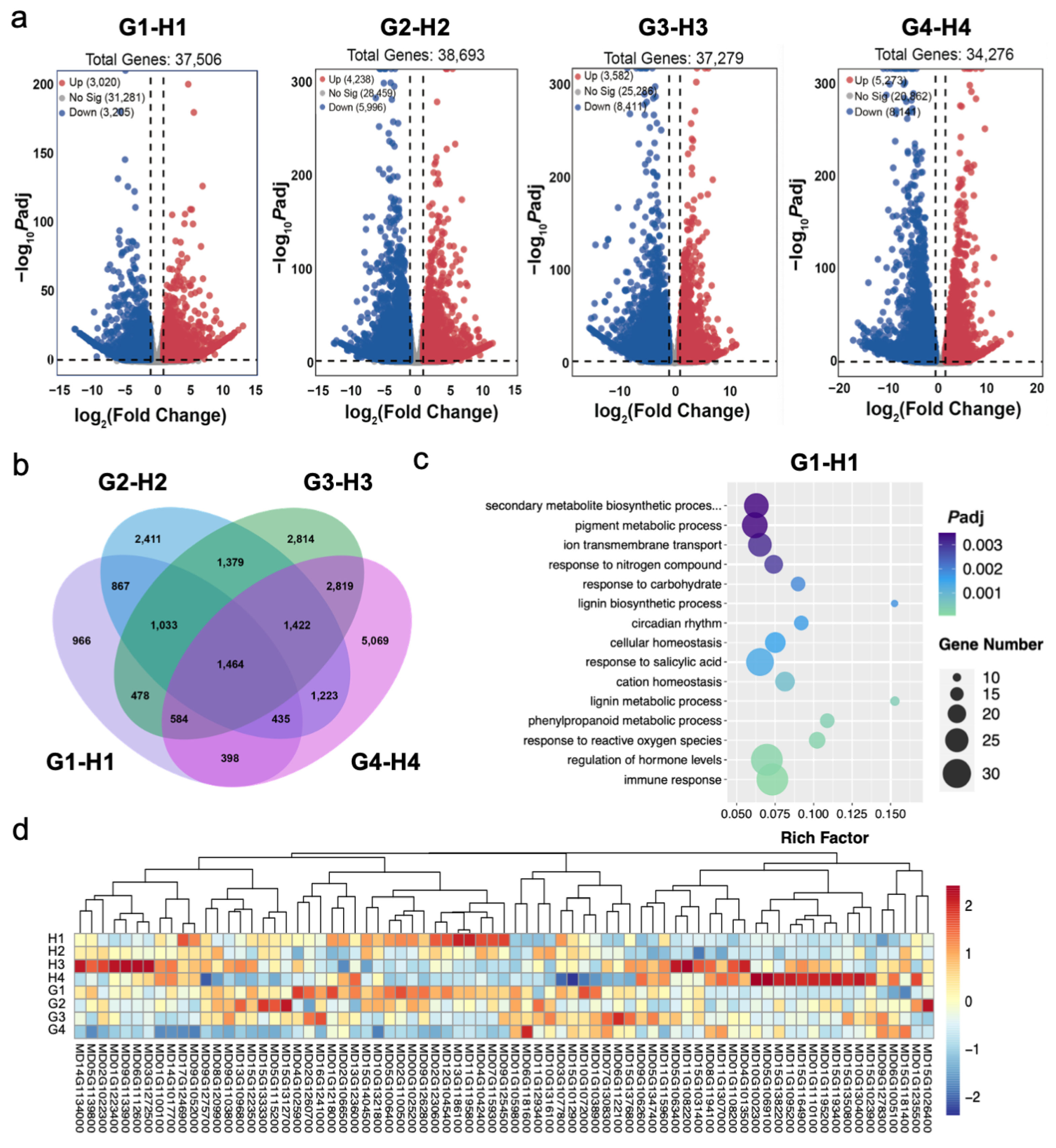 Horticulturae 09 00570 g004