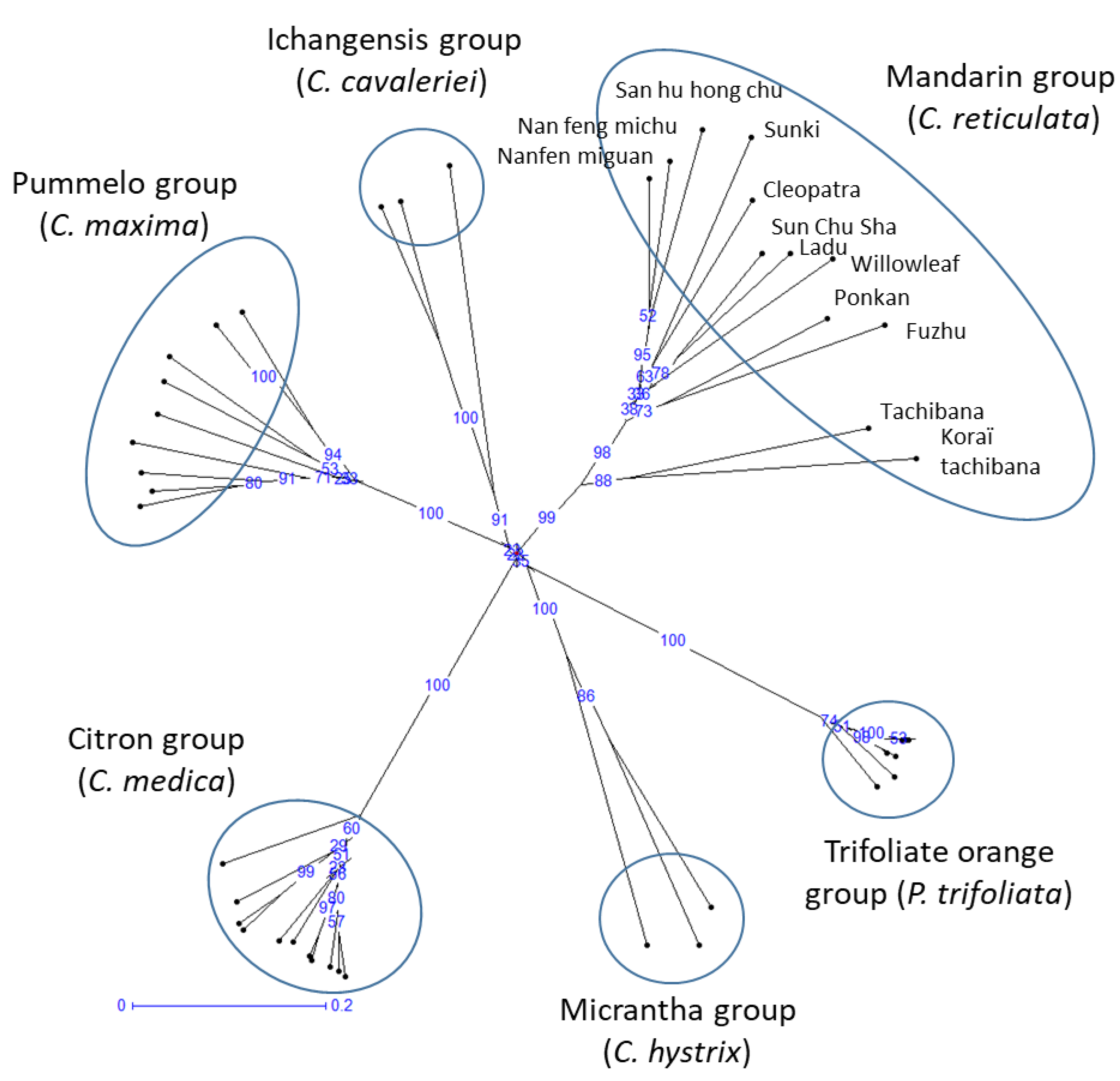 Horticulturae 09 00577 g003