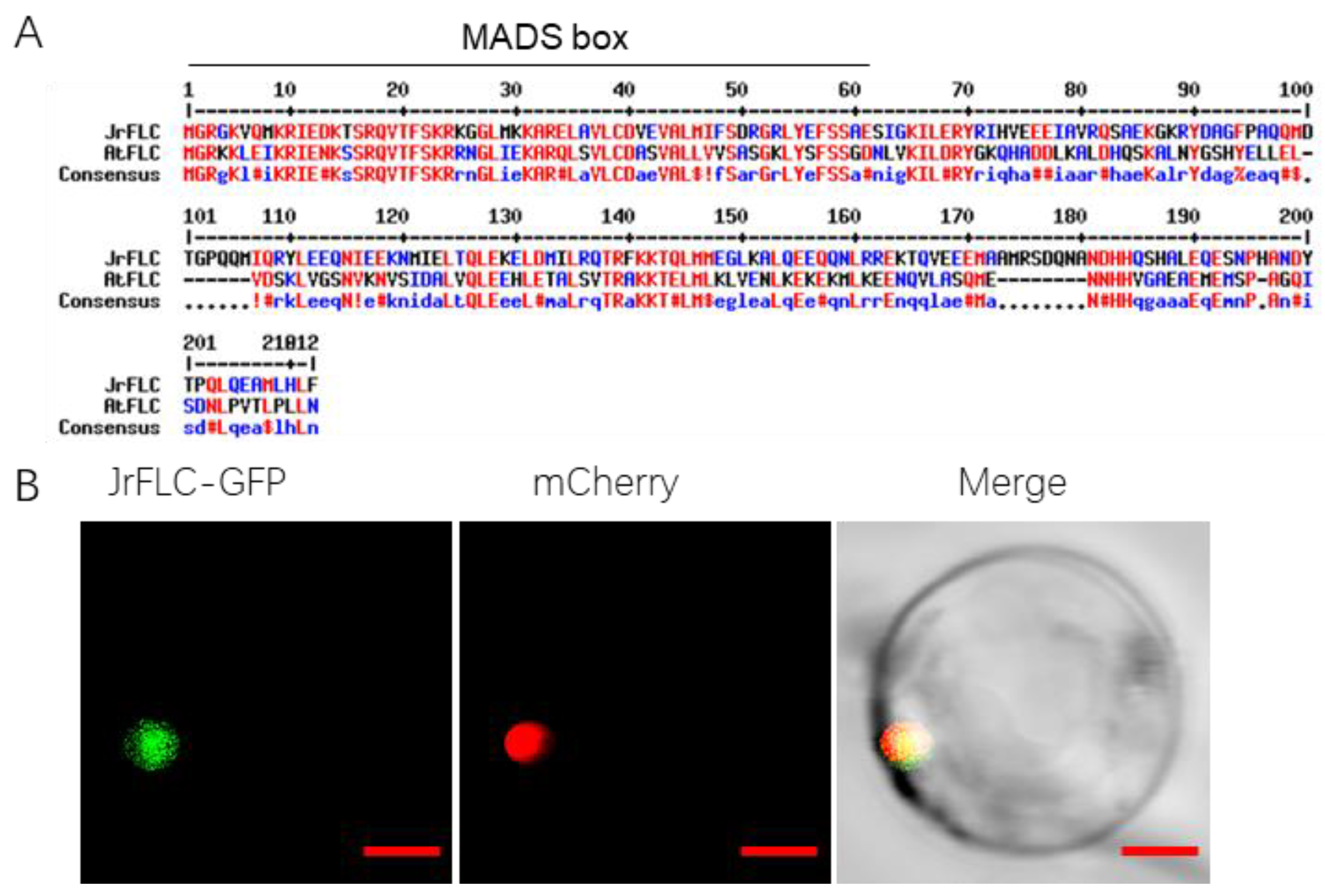 Horticulturae 09 00582 g001 Horticulturae 09 00582 g001