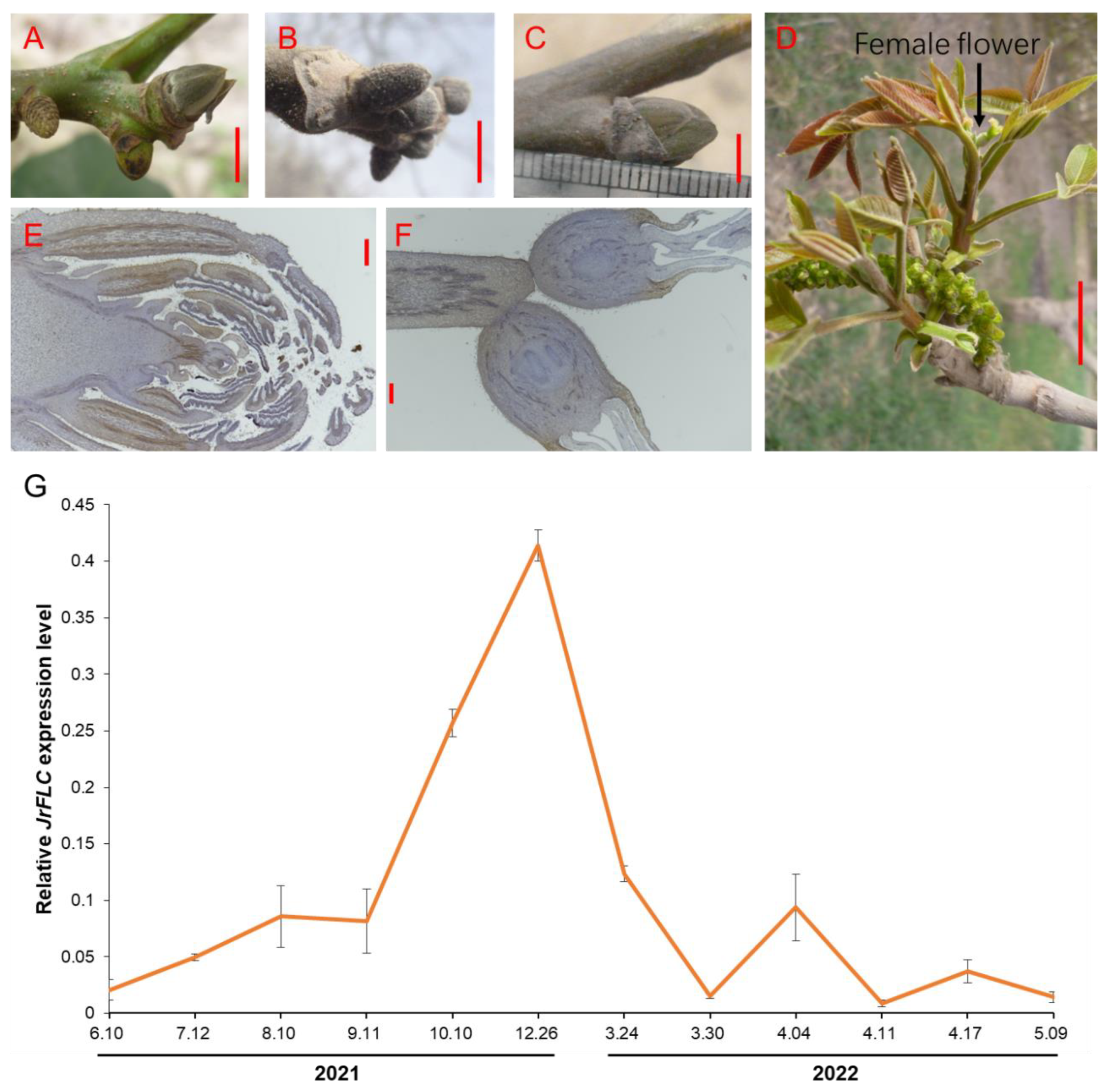 Horticulturae 09 00582 g002 Horticulturae 09 00582 g002