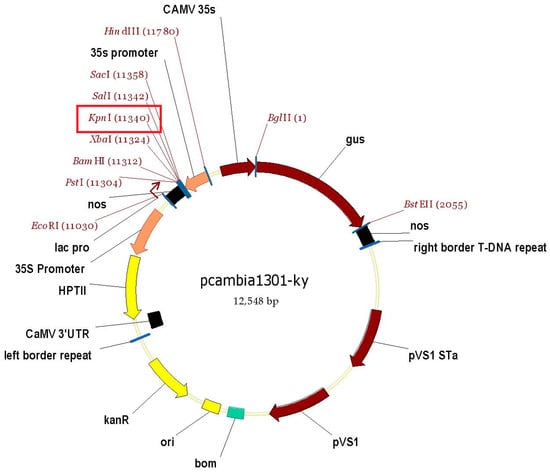 https://www.mdpi.com/horticulturae/horticulturae-09-00587/article_deploy/html/images/horticulturae-09-00587-g001-550.jpg