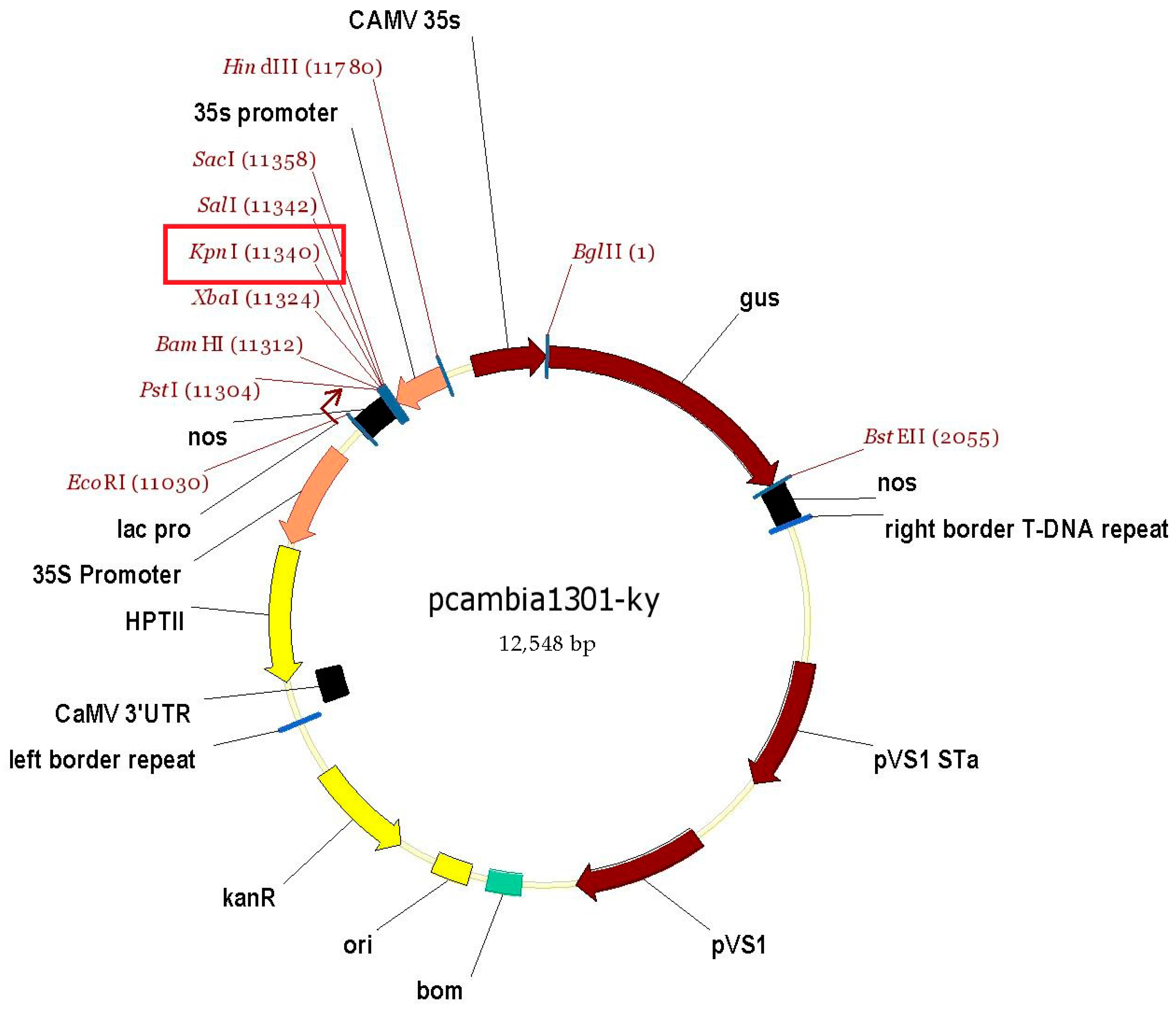 Horticulturae 09 00587 g001