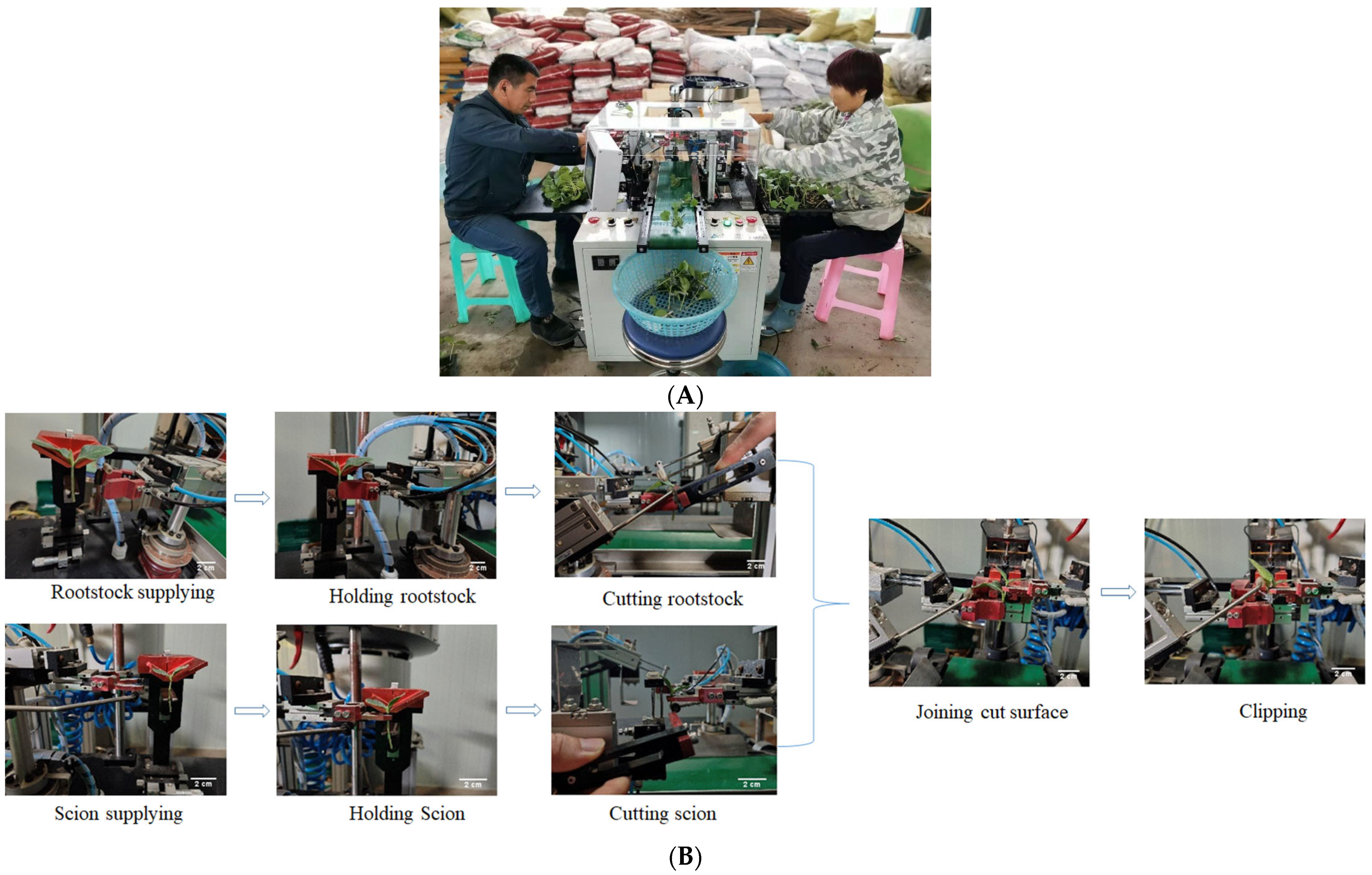 Pollen Trimming Tray - Shanghai Dehuan Industry Co. , Ltd