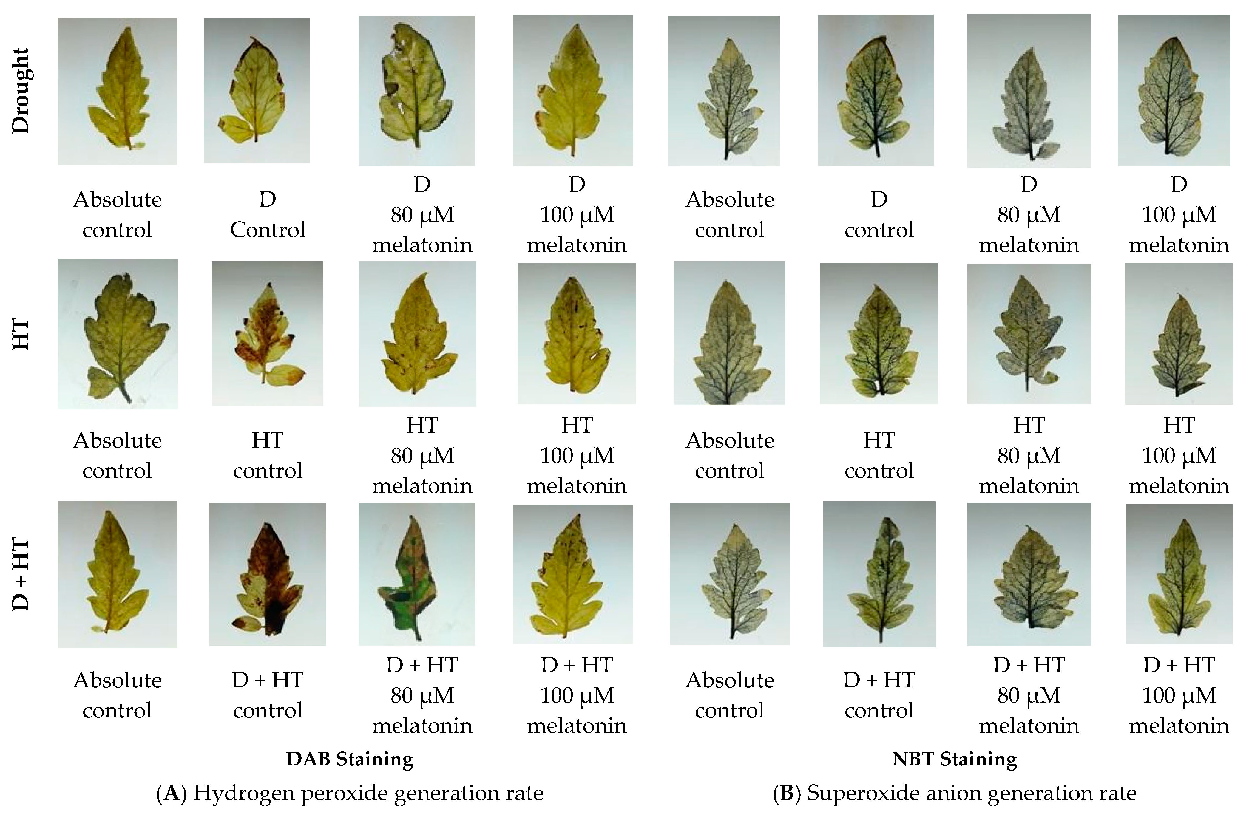 Horticulturae 09 00673 g005