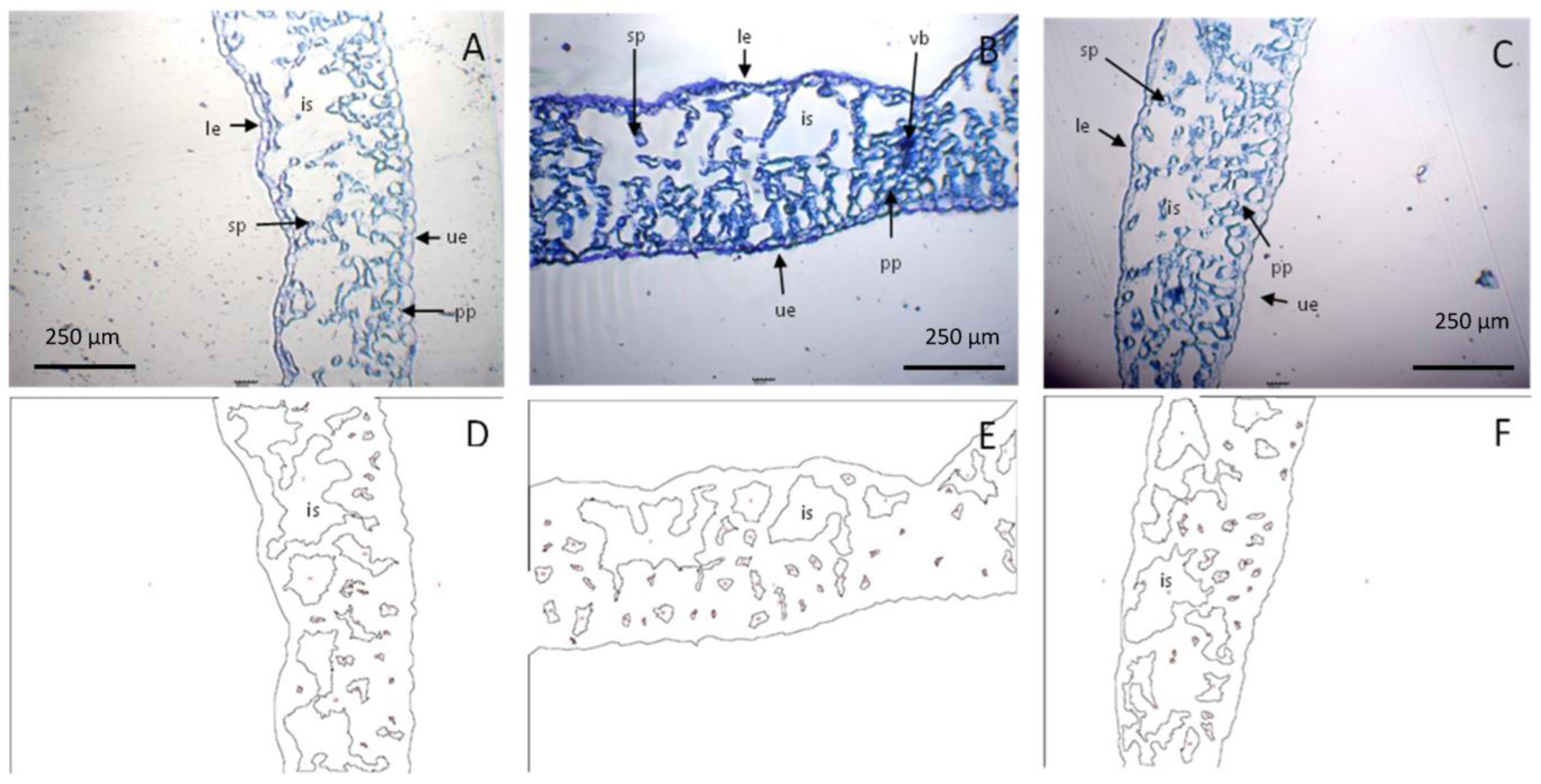 Horticulturae 09 00677 g003 Horticulturae 09 00677 g003