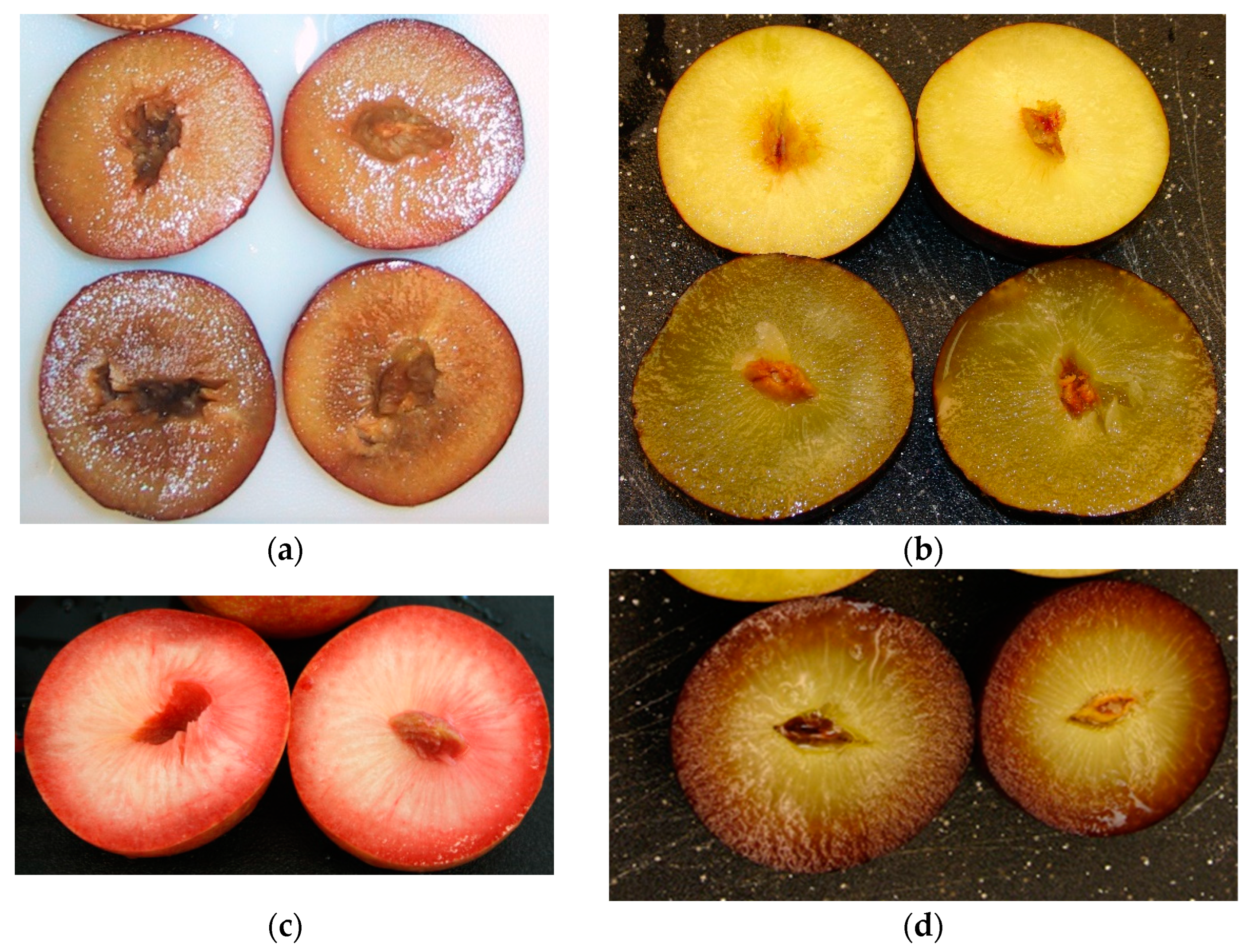 Horticulturae | Free Full-Text | Establishing a Consumer Quality Index for  Fresh Plums (Prunus salicina Lindell)