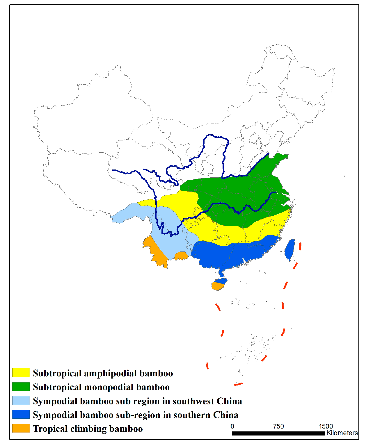 Bamboo  Project Regeneration