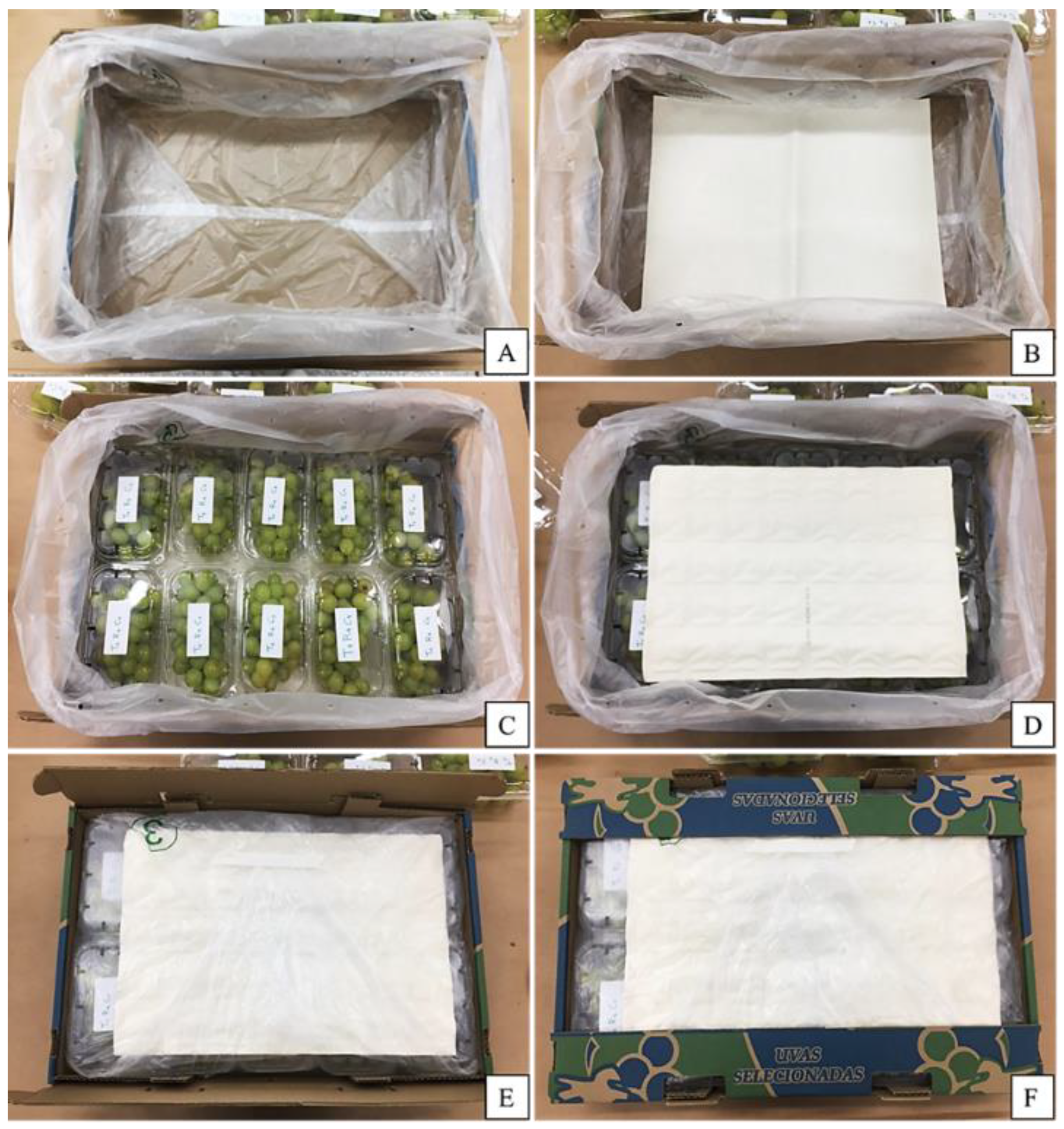 Horticulturae 09 00724 g004 Horticulturae 09 00724 g004