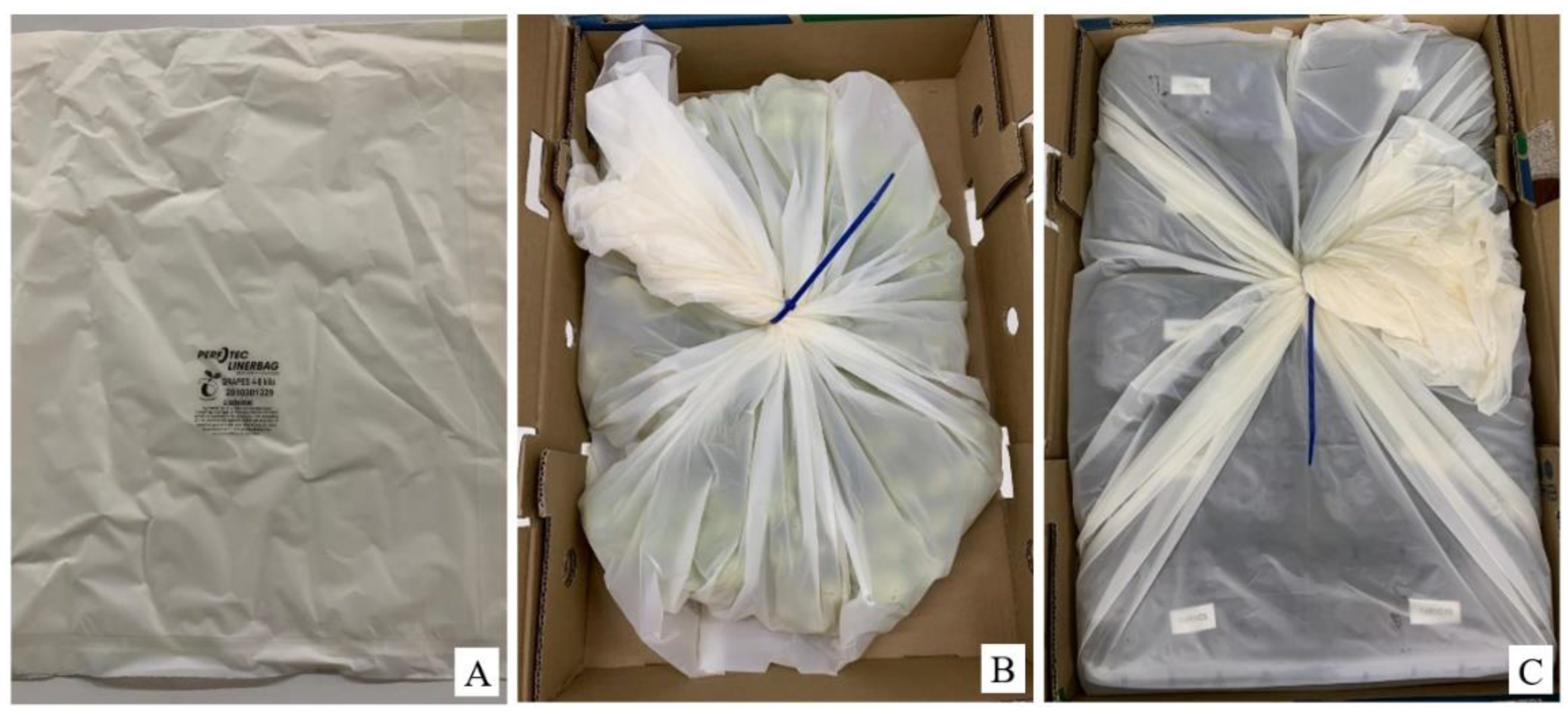 Horticulturae 09 00724 g008 Horticulturae 09 00724 g008