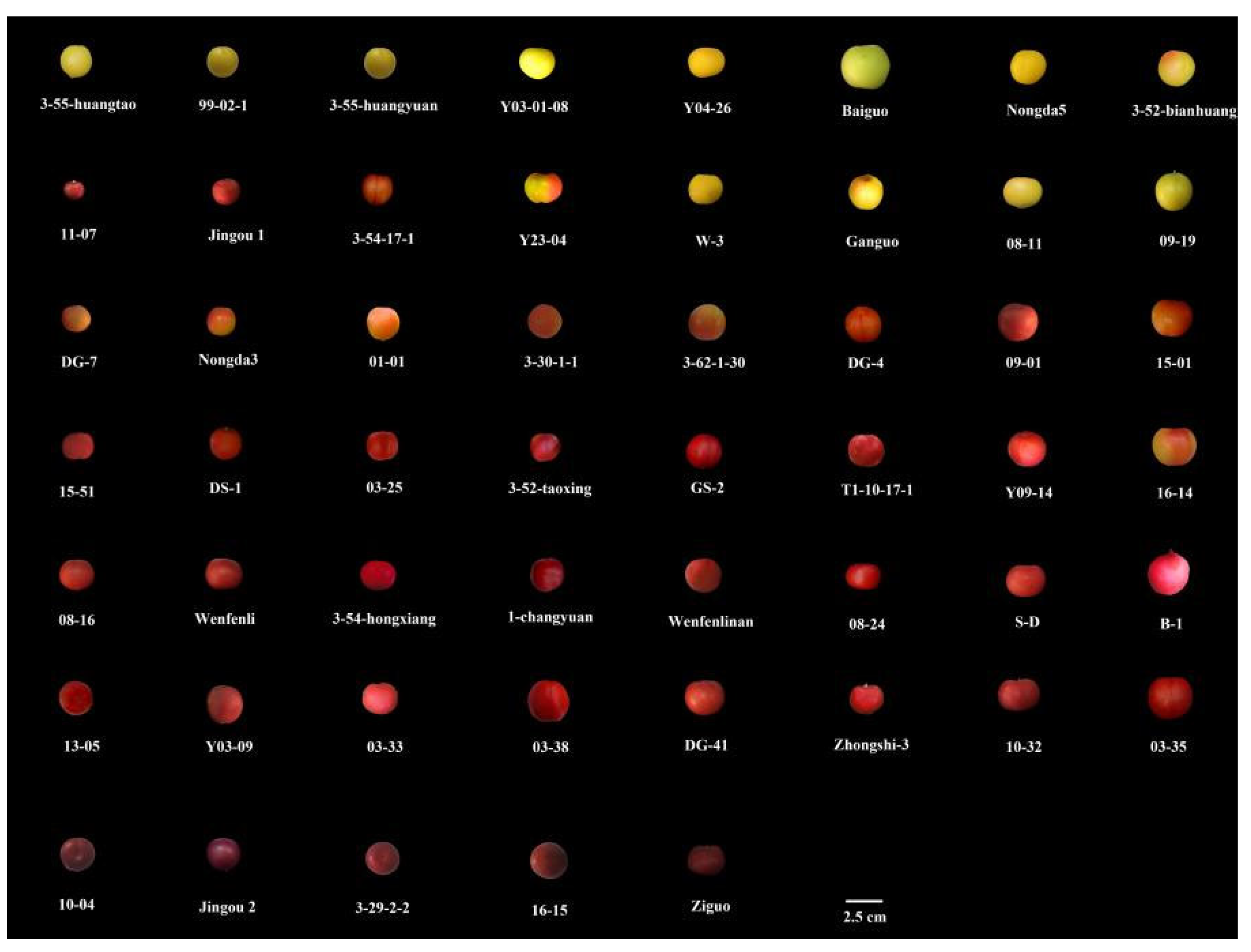 Horticulturae 09 00806 g001