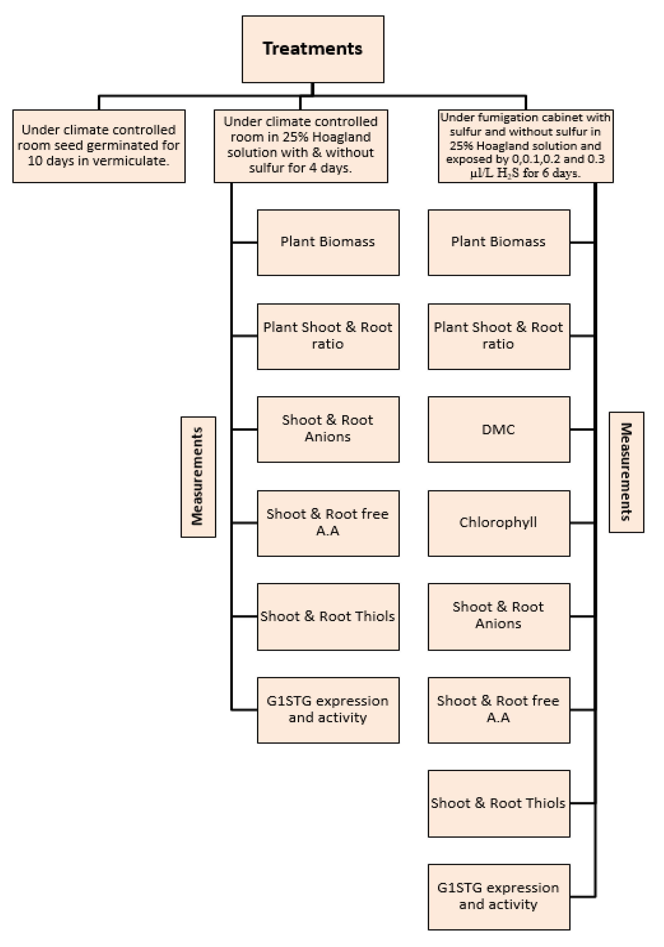 Horticulturae 09 00821 g001 Horticulturae 09 00821 g001