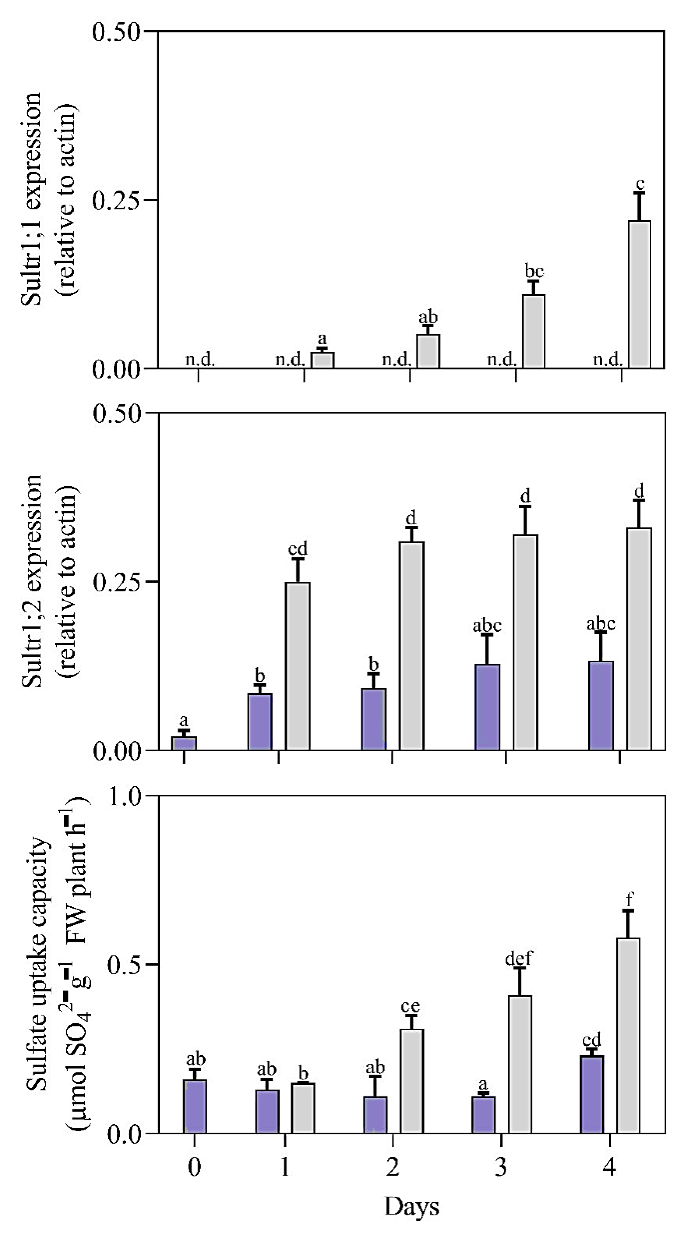Horticulturae 09 00821 g002 Horticulturae 09 00821 g002