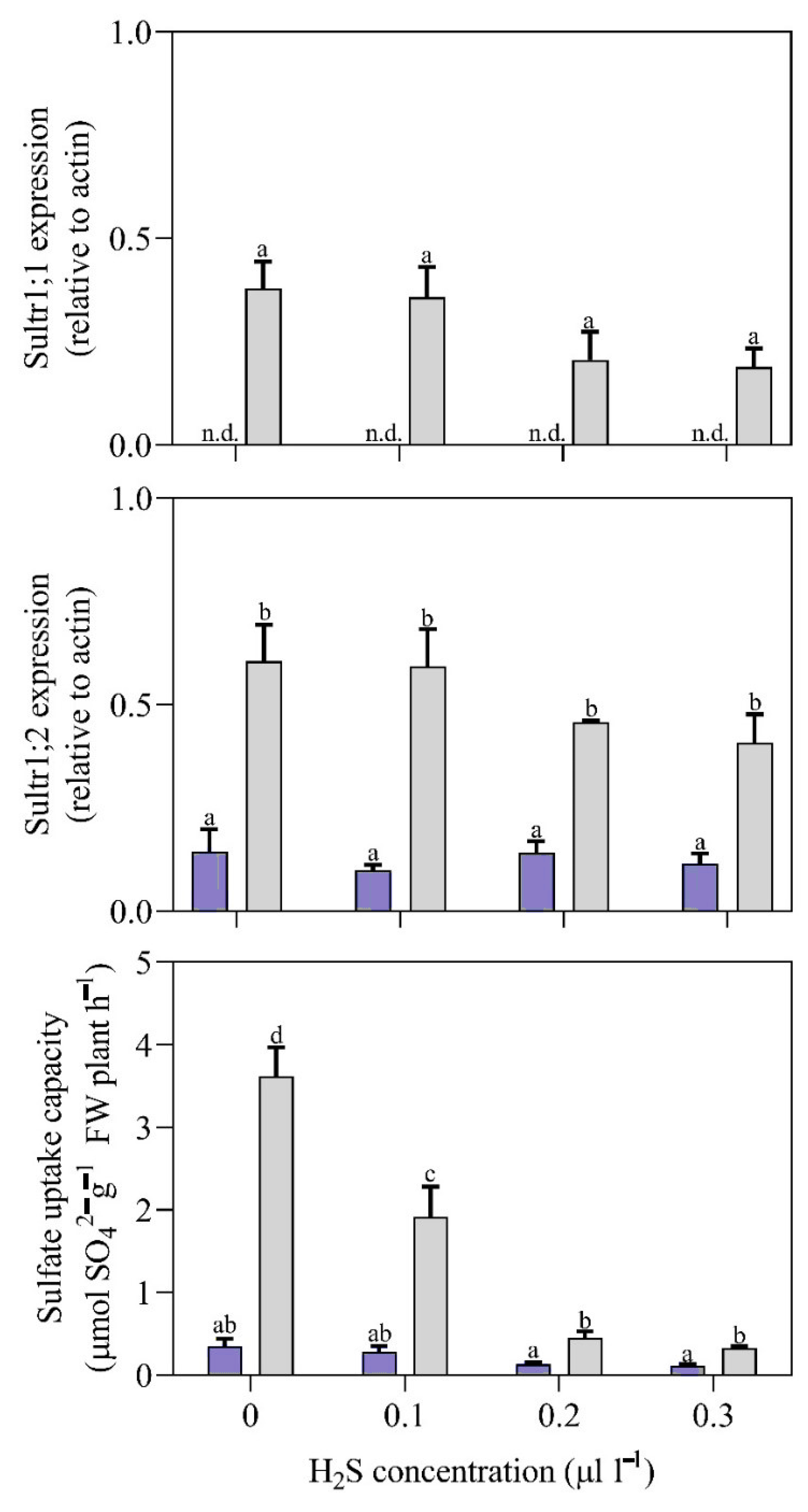 Horticulturae 09 00821 g003 Horticulturae 09 00821 g003