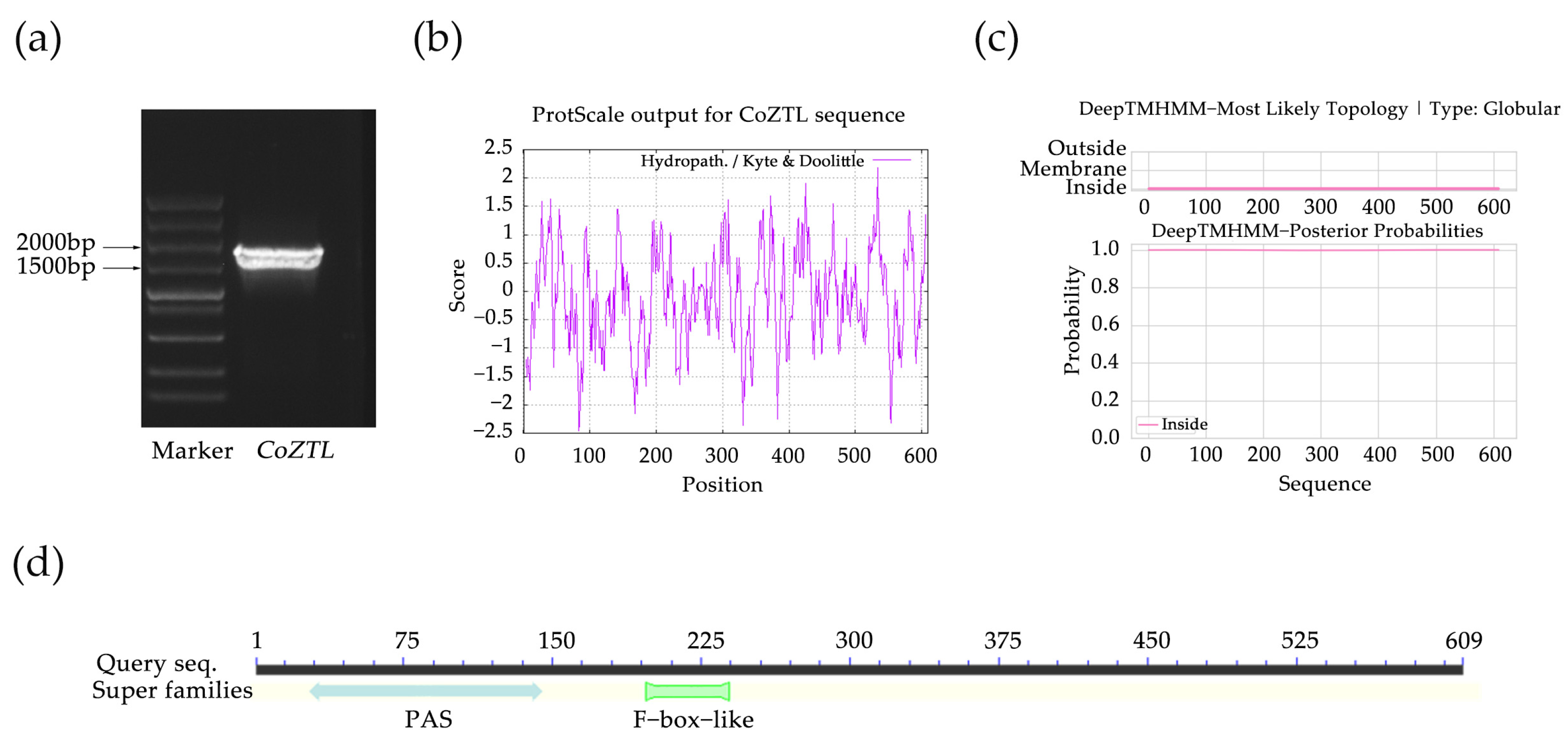 https://www.mdpi.com/horticulturae/horticulturae-09-00833/article_deploy/html/images/horticulturae-09-00833-g001.png