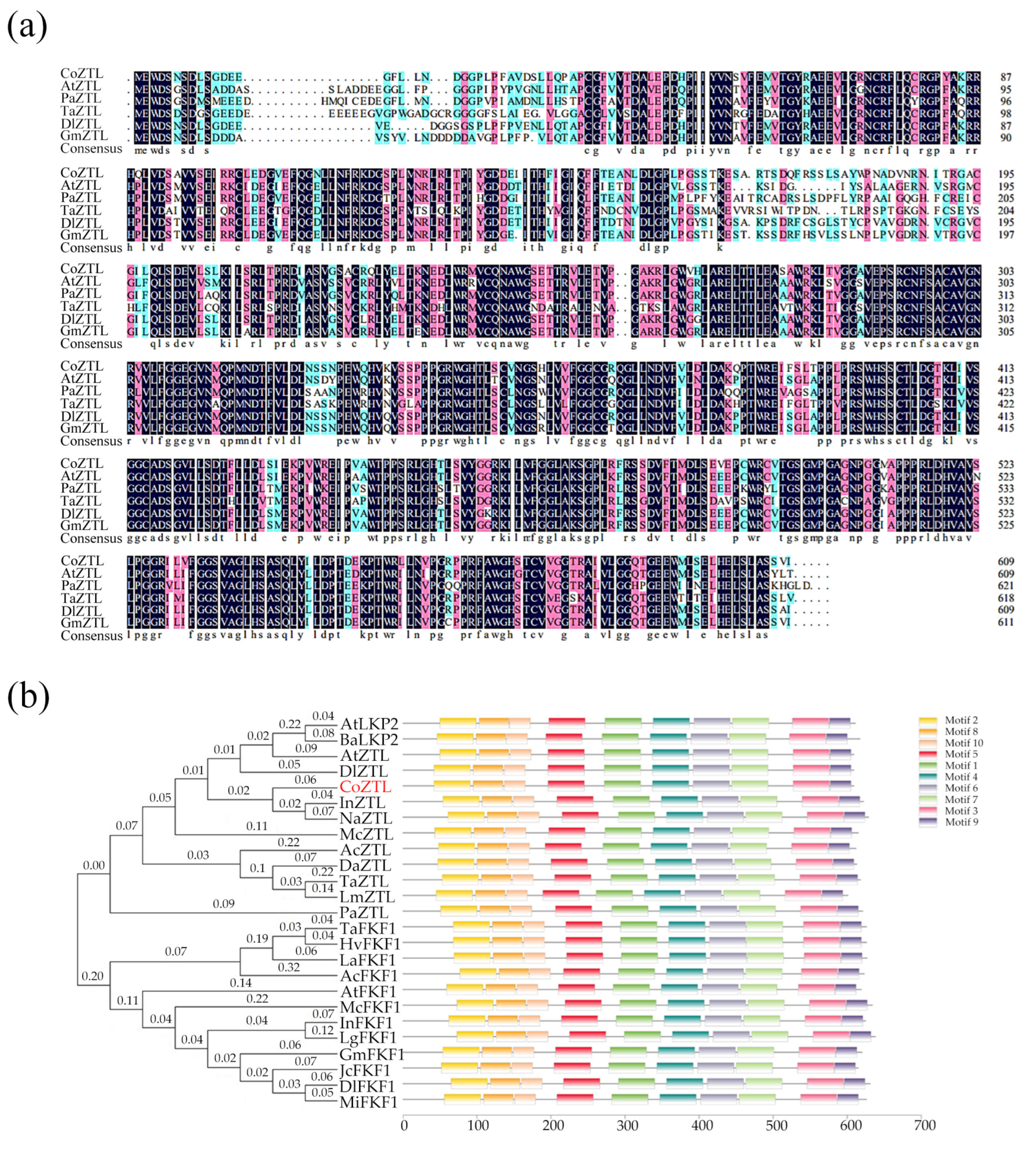 Horticulturae 09 00833 g002 Horticulturae 09 00833 g002