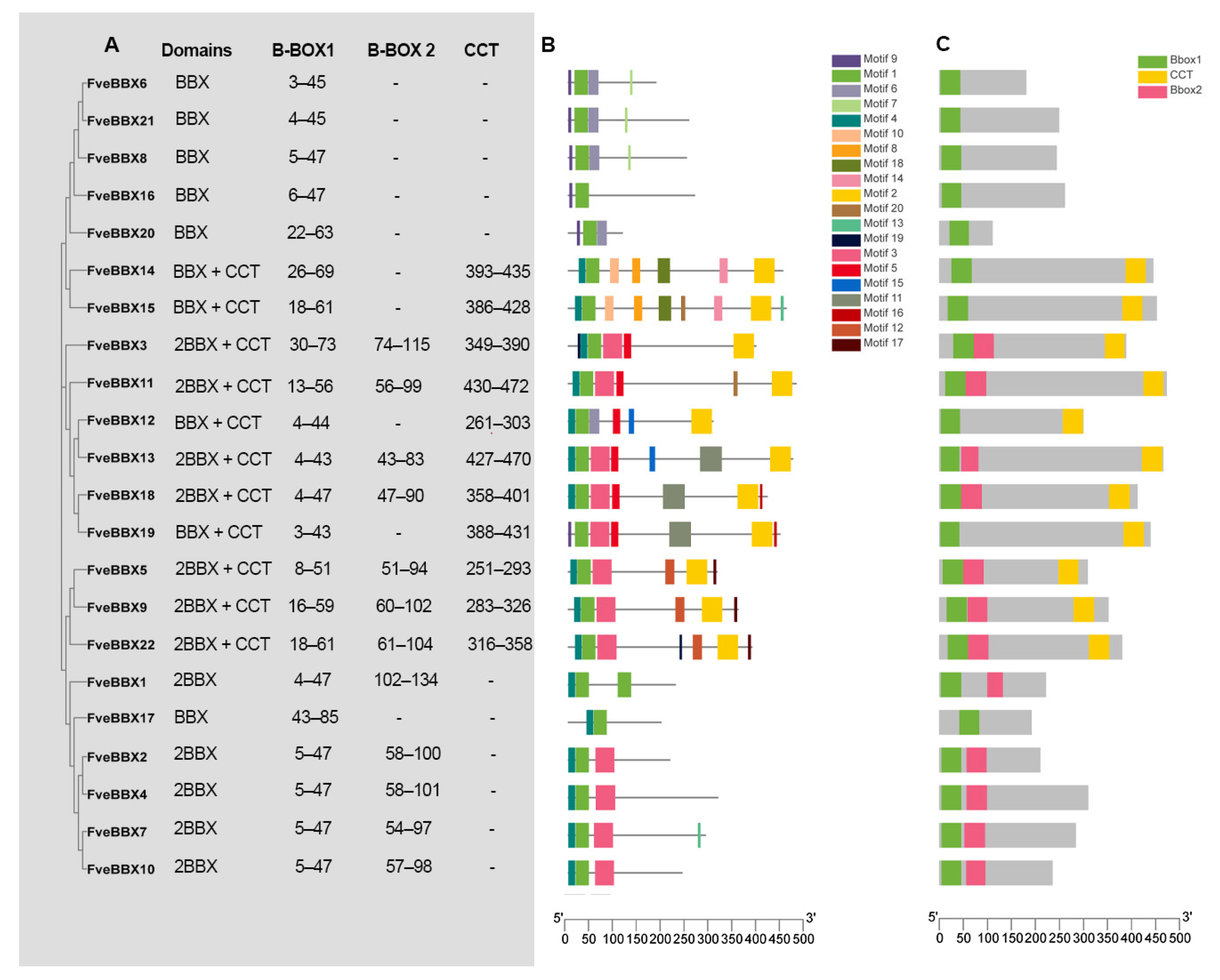 Horticulturae 09 00842 g001 Horticulturae 09 00842 g001