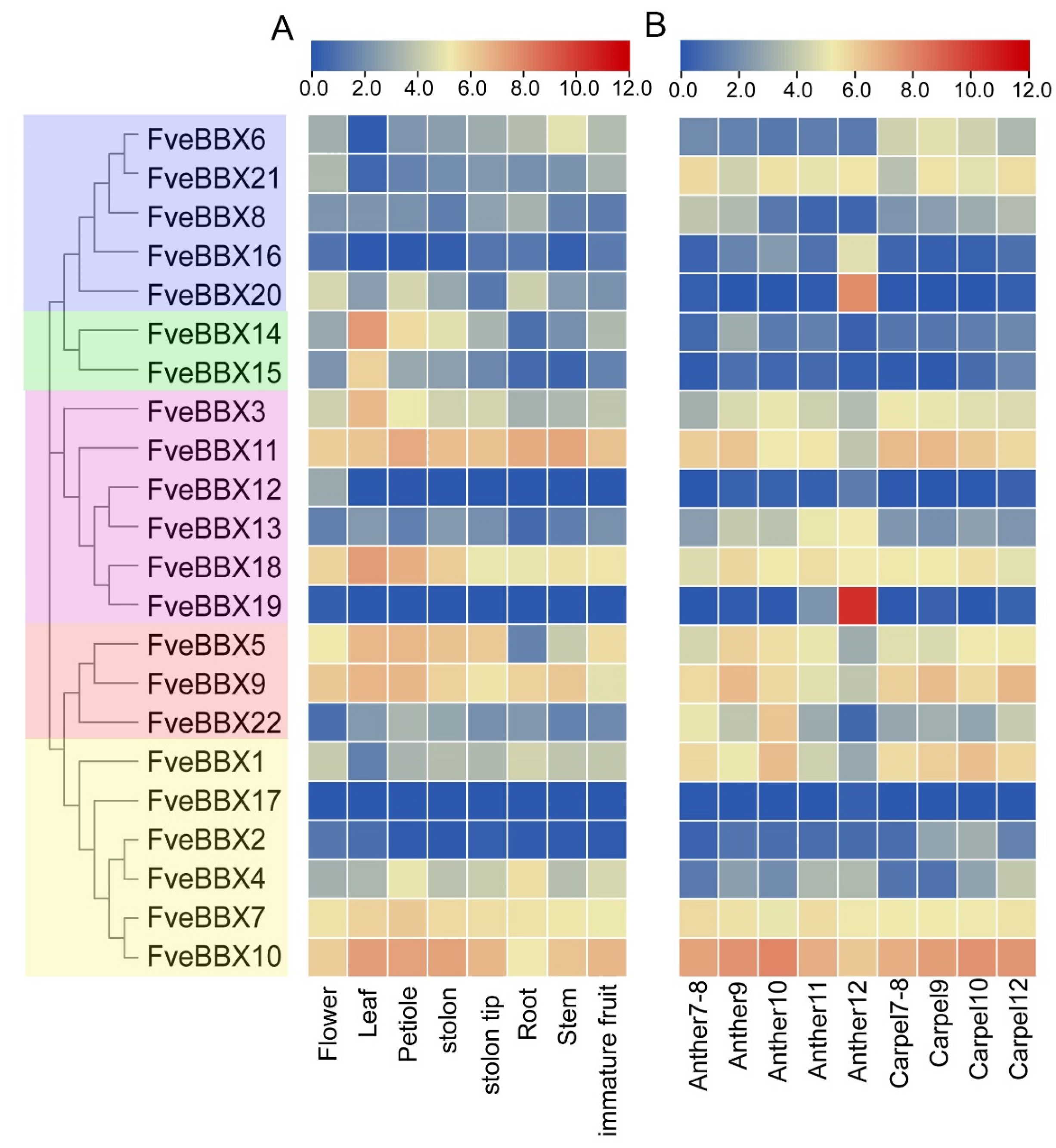 Horticulturae 09 00842 g003 Horticulturae 09 00842 g003