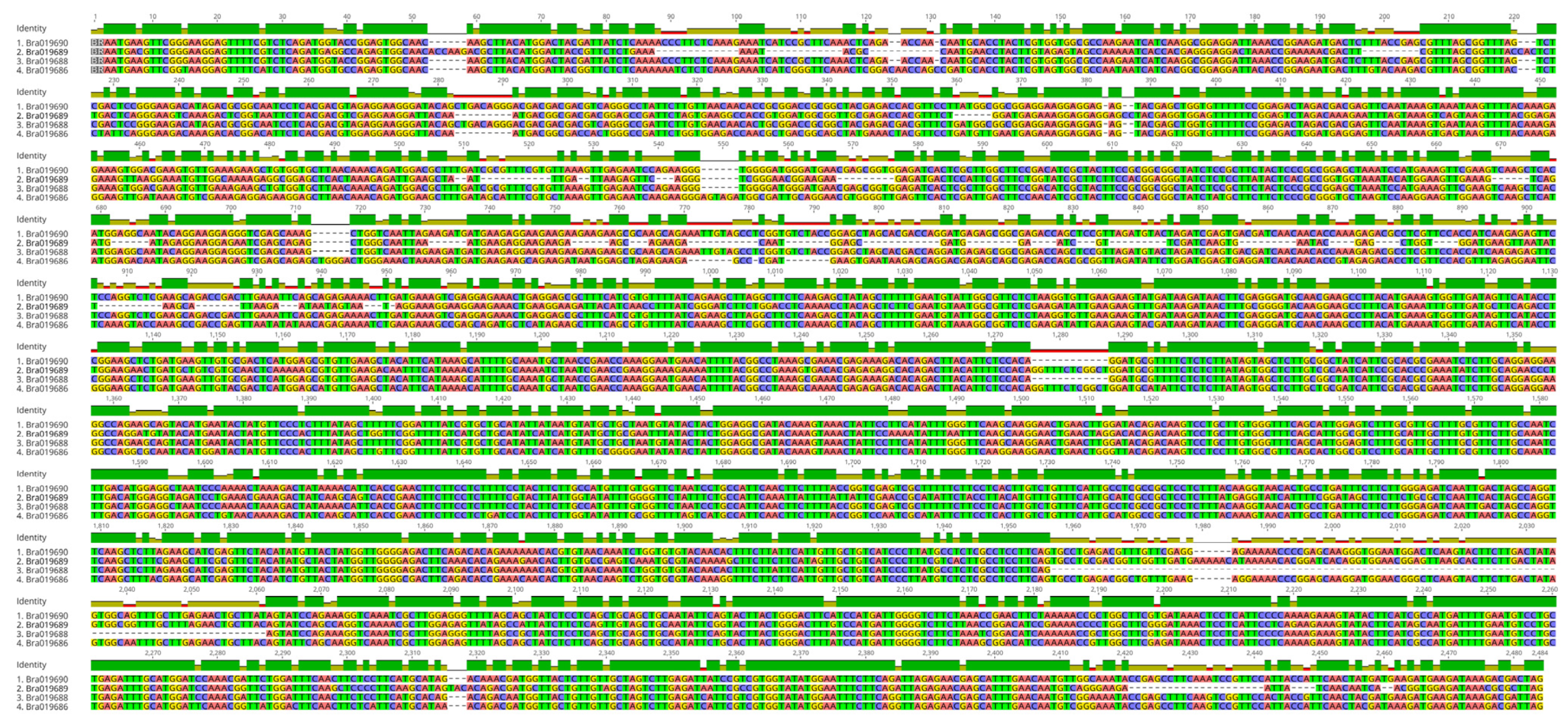 Horticulturae 09 00845 g002 Horticulturae 09 00845 g002