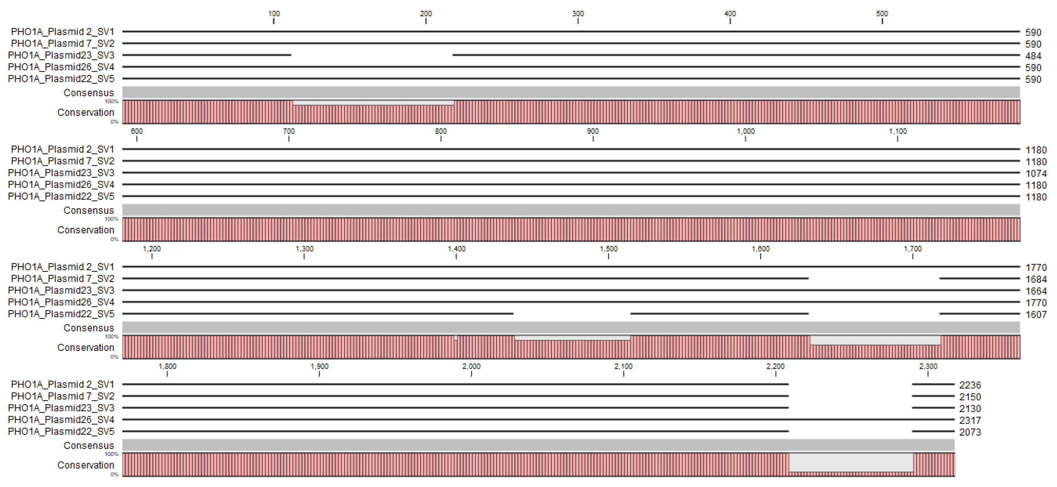 Horticulturae 09 00845 g006 Horticulturae 09 00845 g006